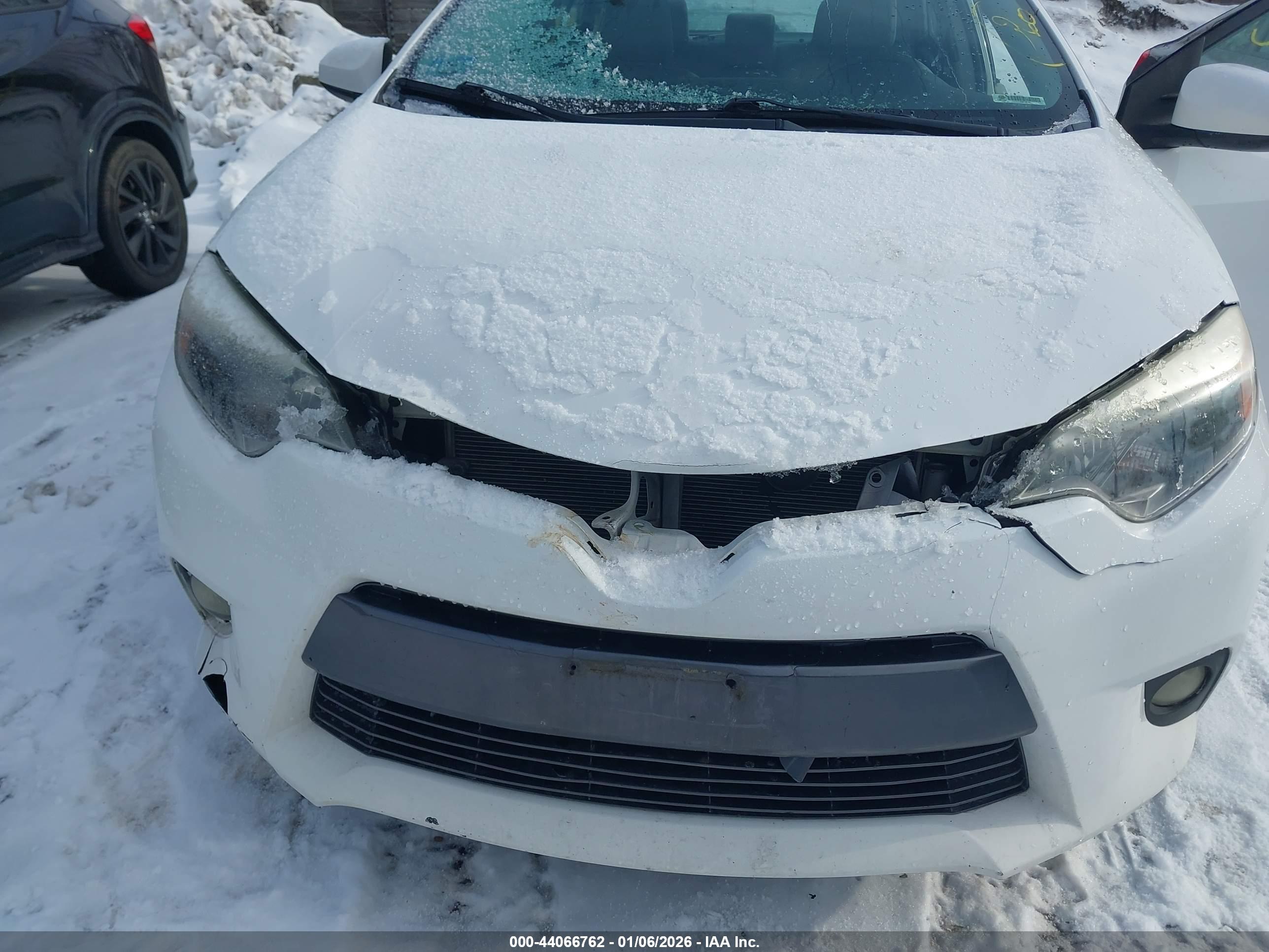TOYOTA COROLLA image 6