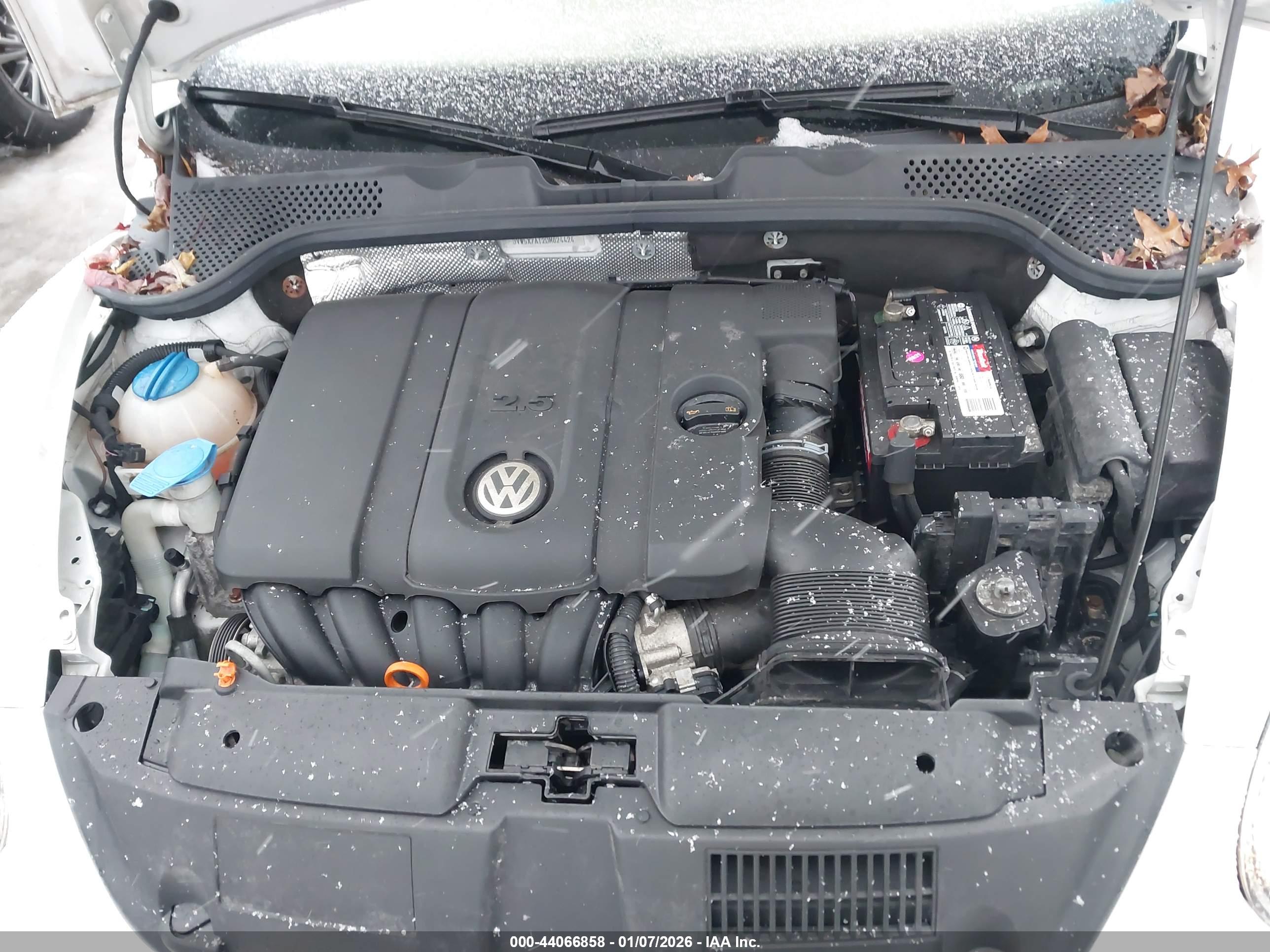 VOLKSWAGEN BEETLE image 10