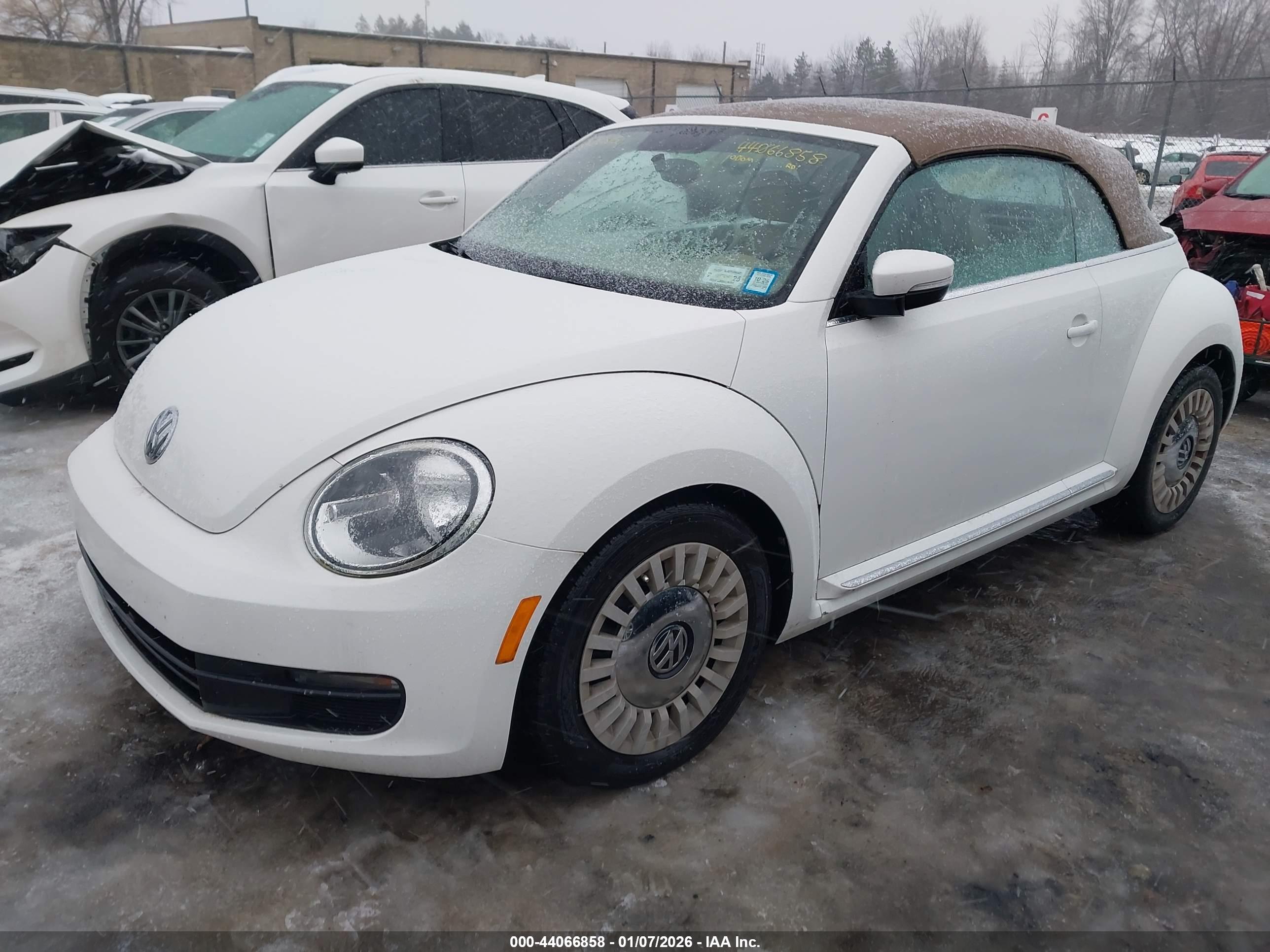 VOLKSWAGEN BEETLE image 2
