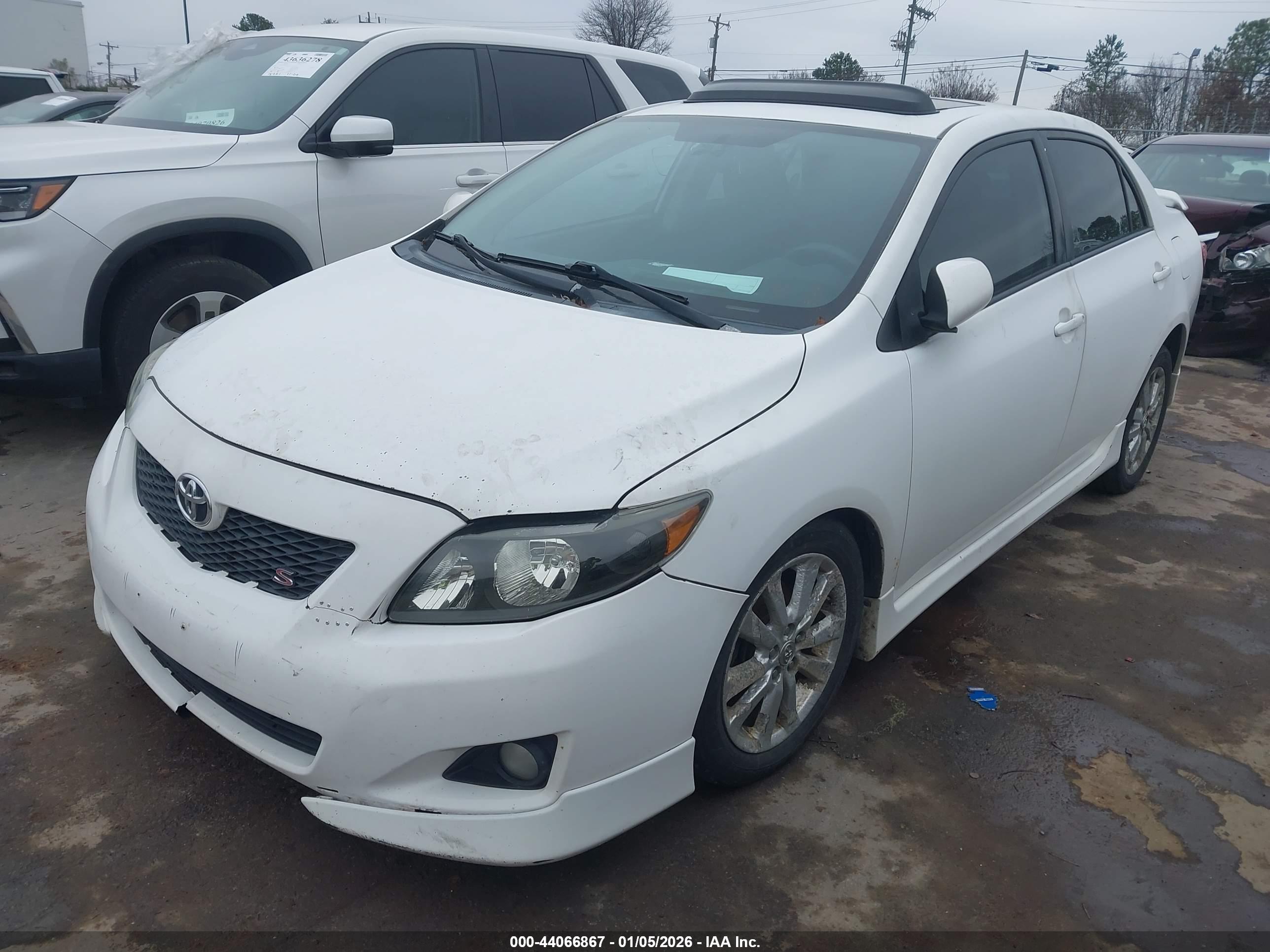 TOYOTA COROLLA image 2