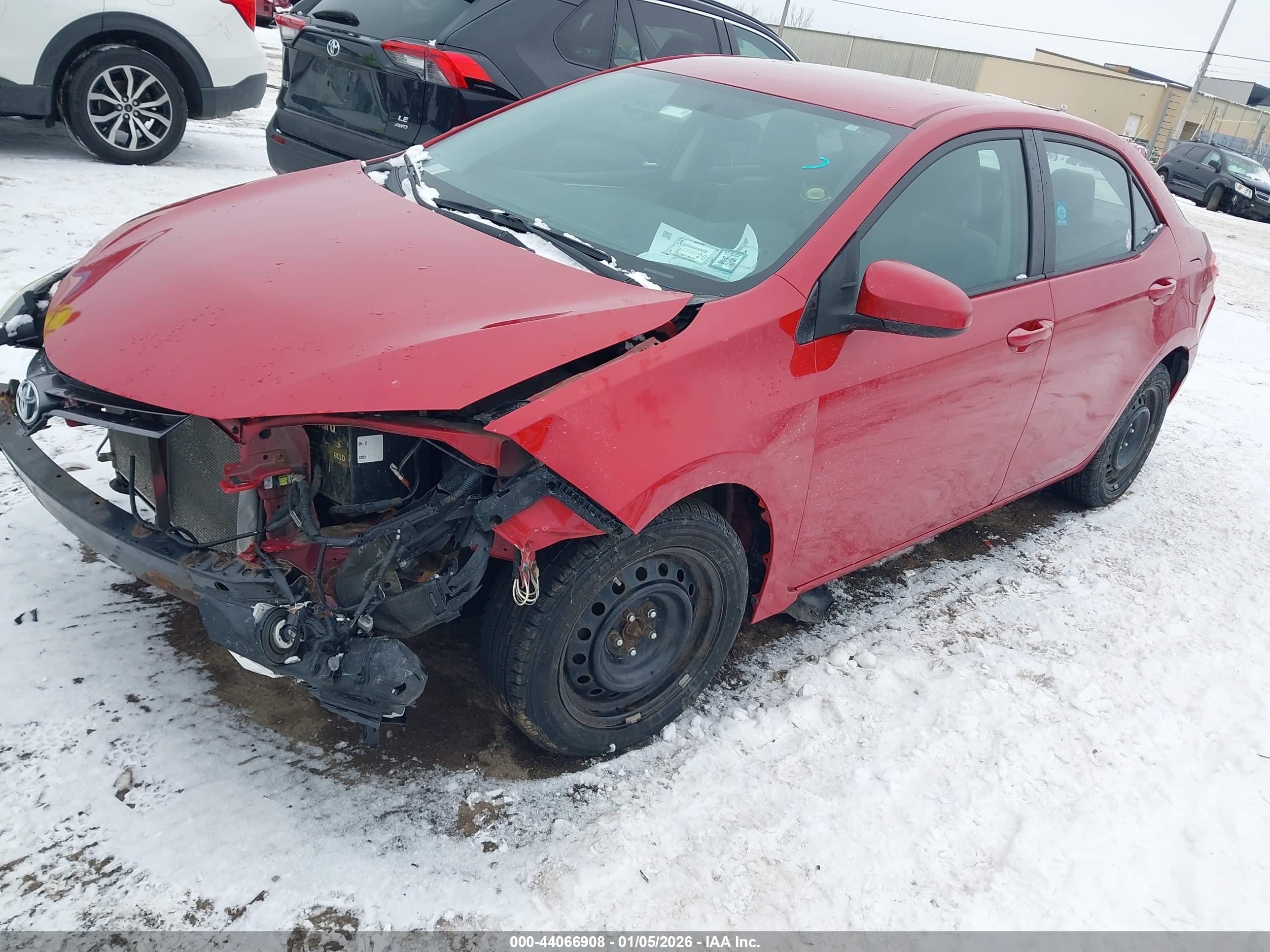 TOYOTA COROLLA image 2