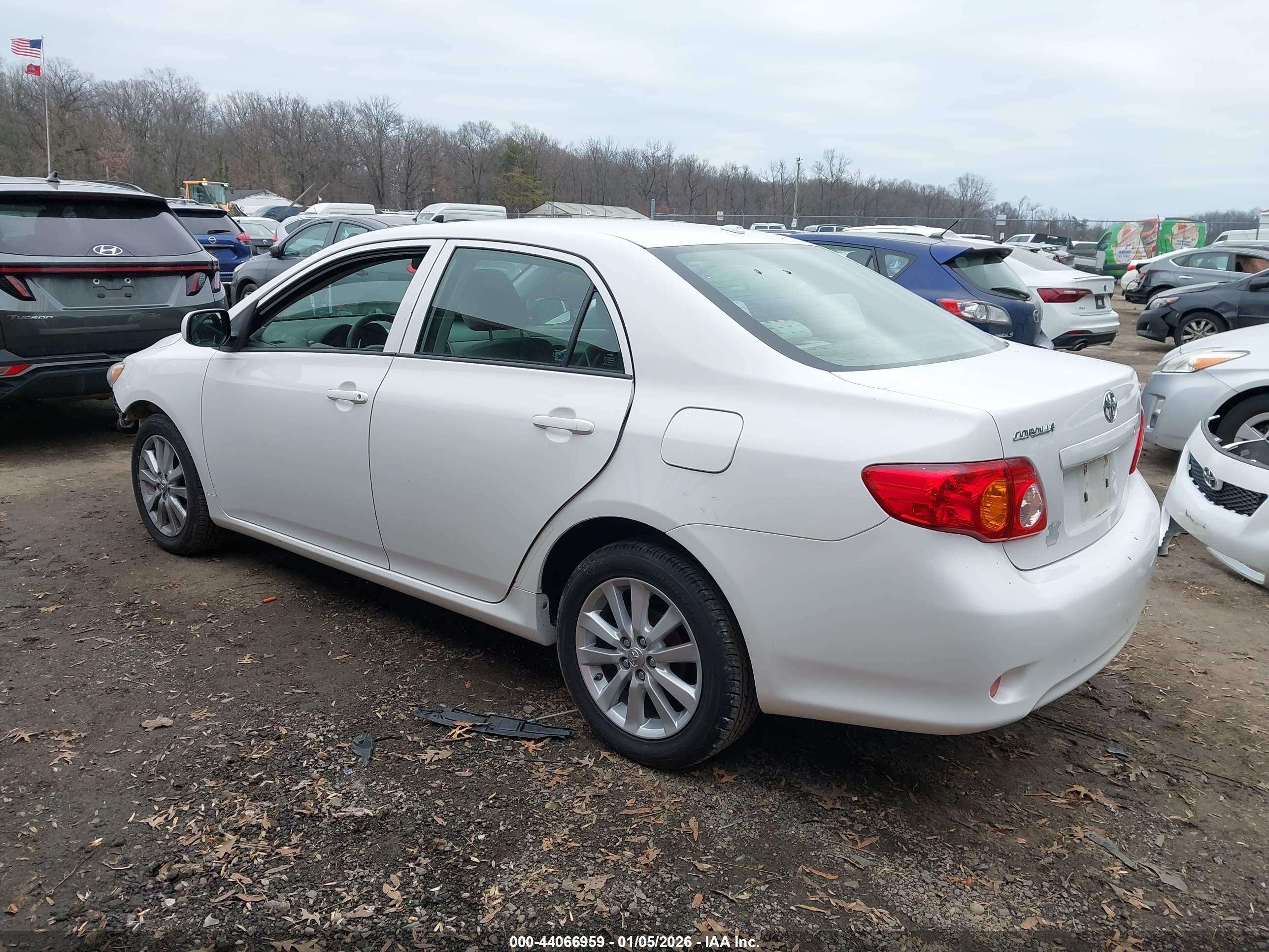 TOYOTA COROLLA image 3