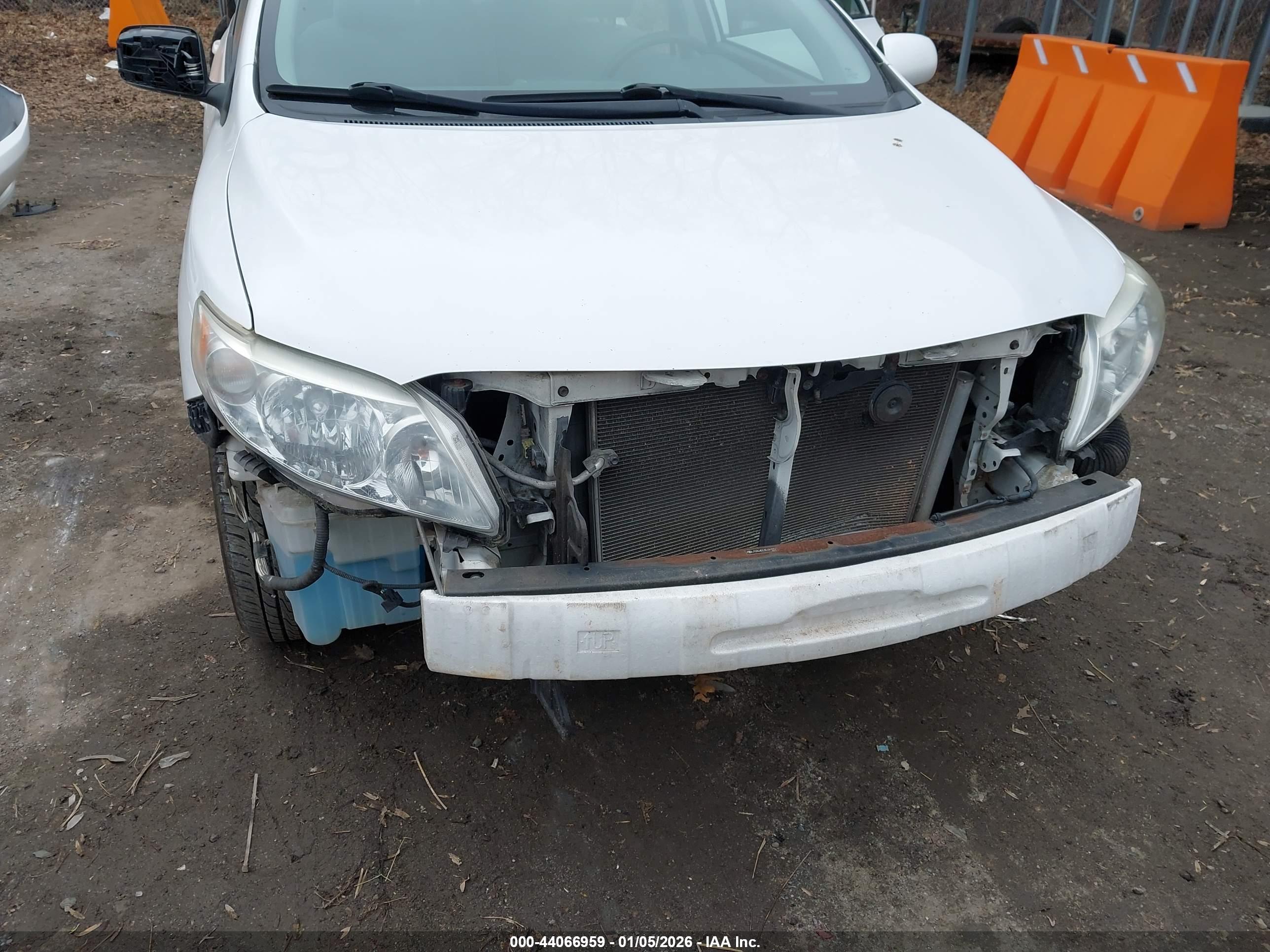 TOYOTA COROLLA image 6