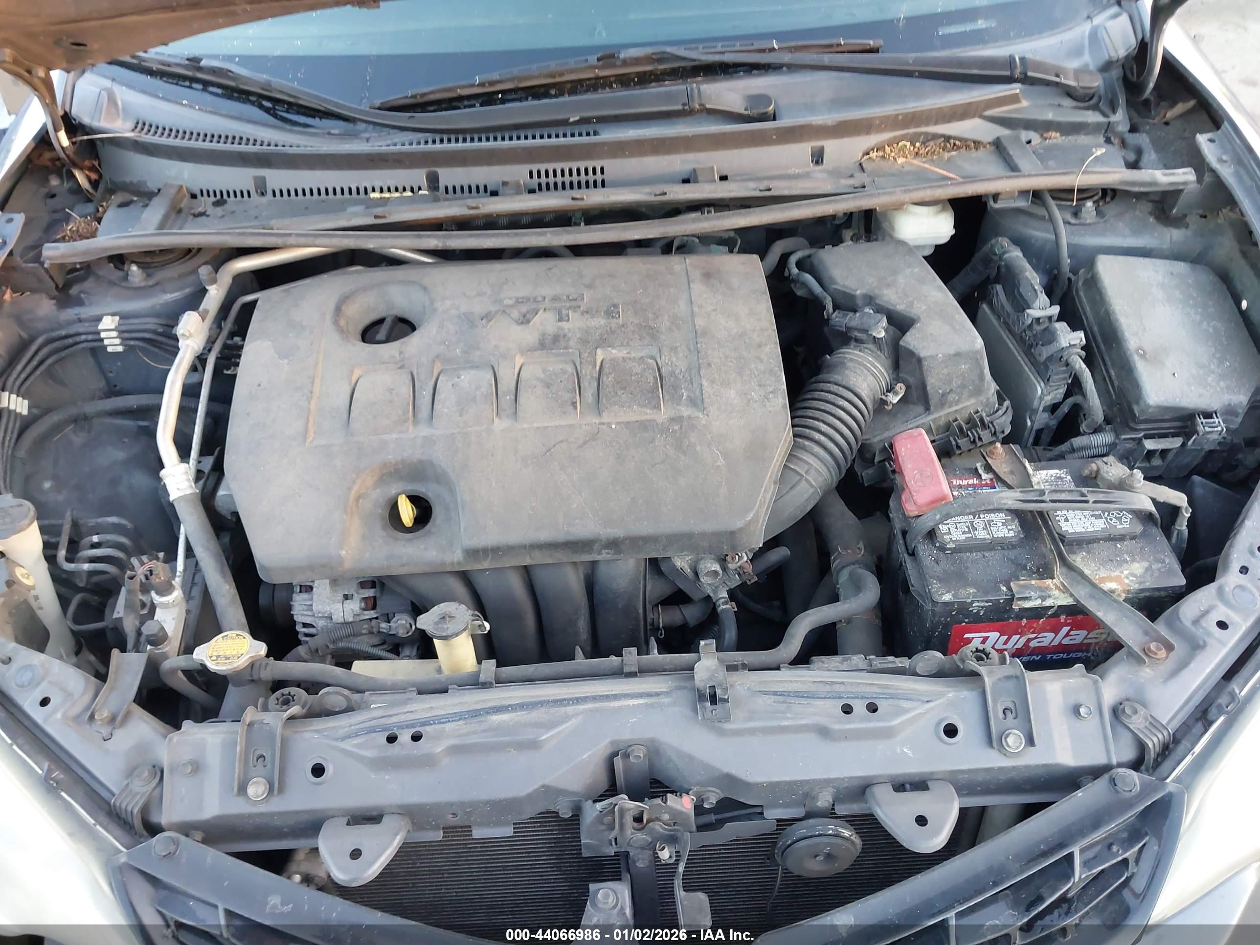 TOYOTA COROLLA image 10