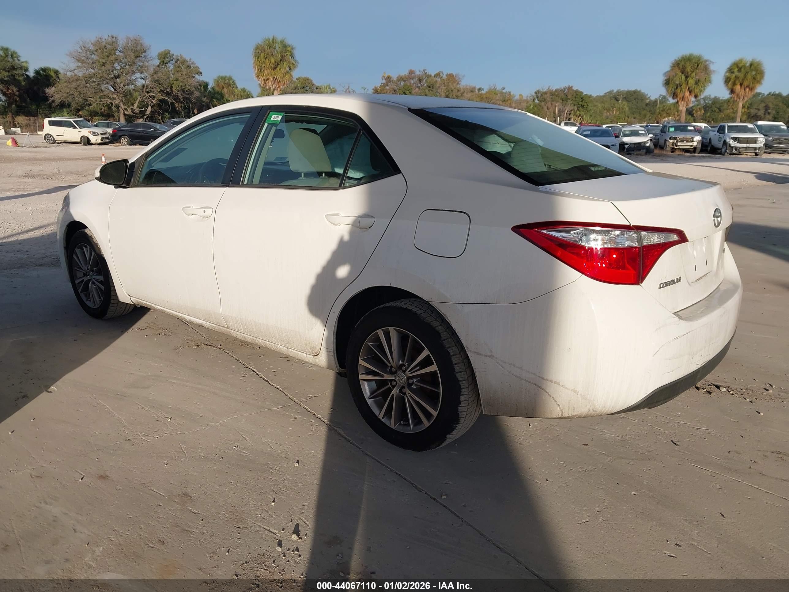 TOYOTA COROLLA image 3