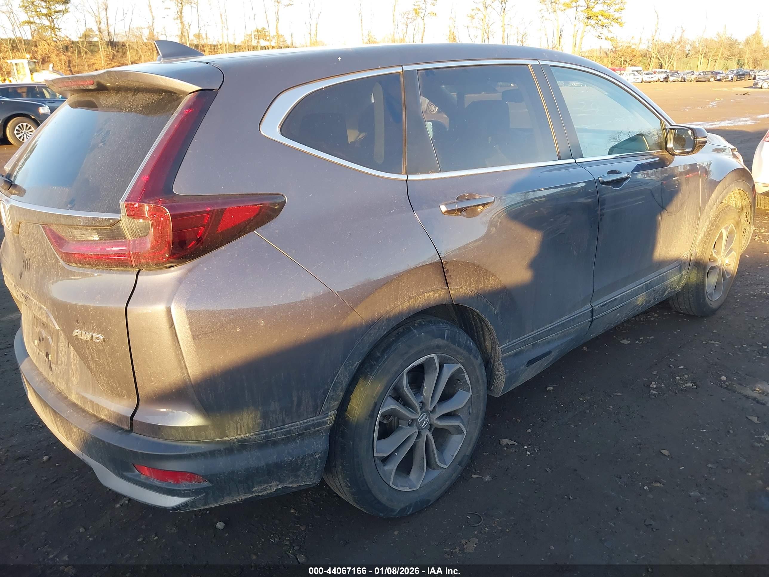 HONDA CR-V image 4