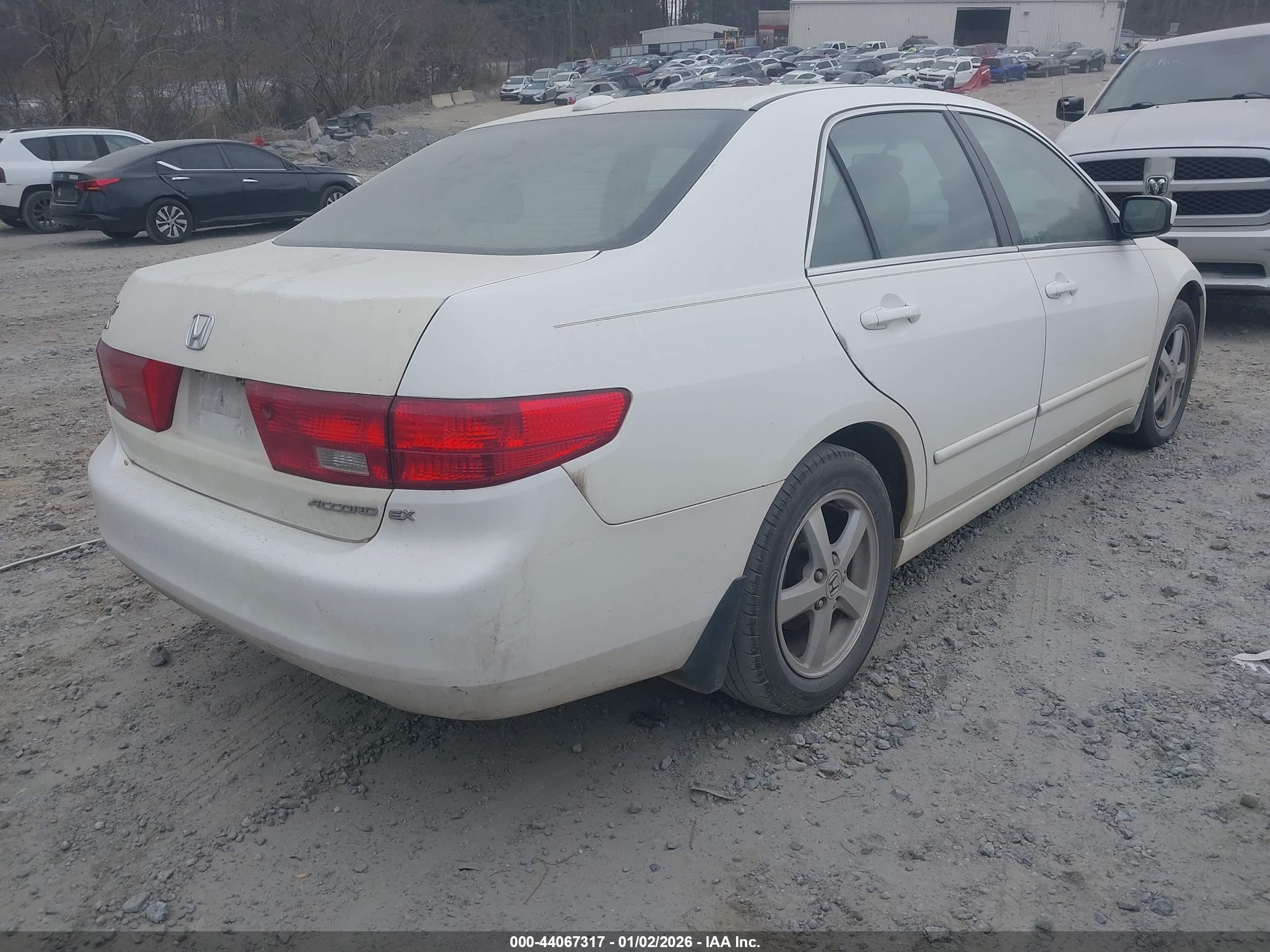 HONDA ACCORD image 4