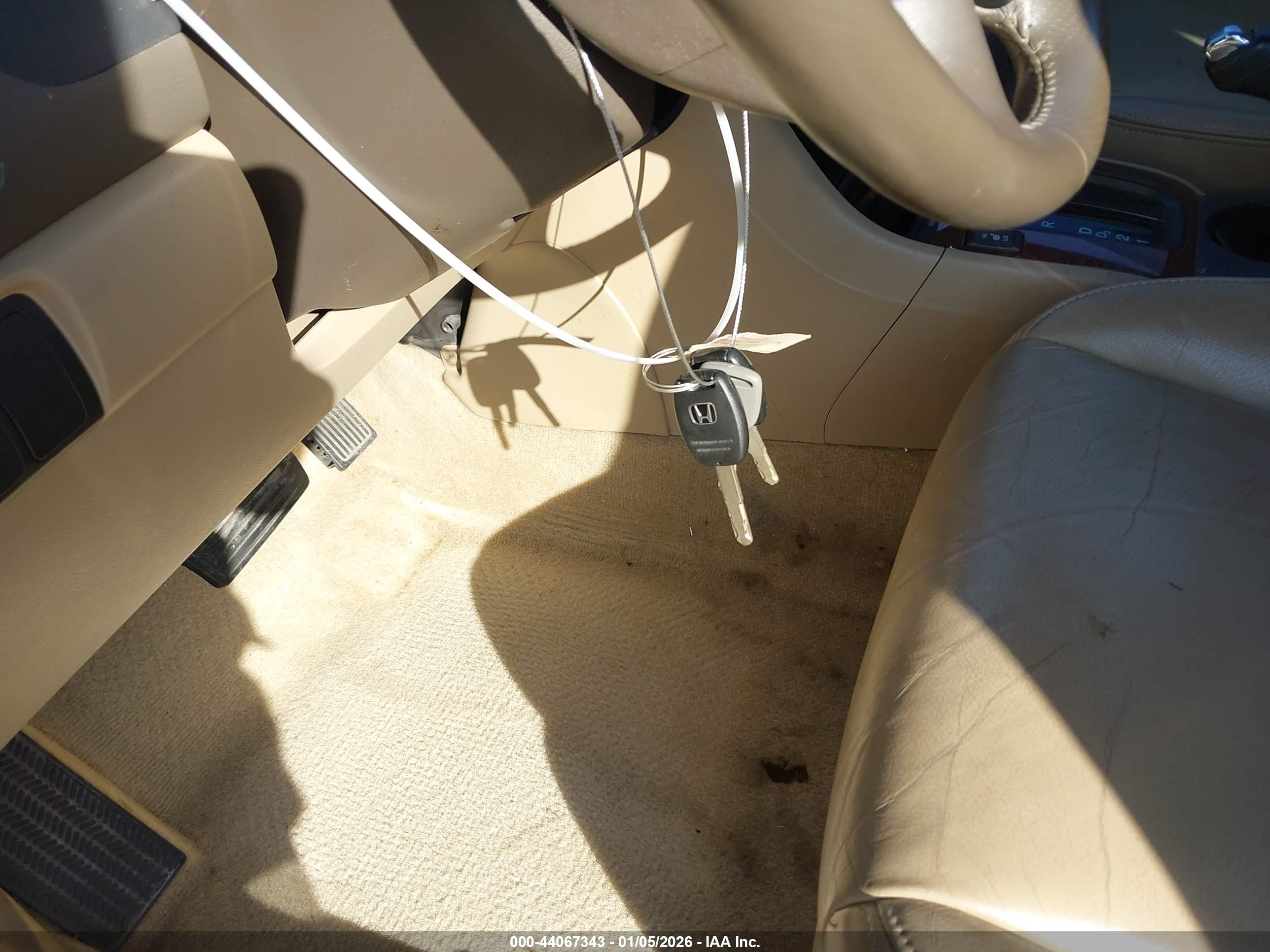 HONDA ACCORD image 11