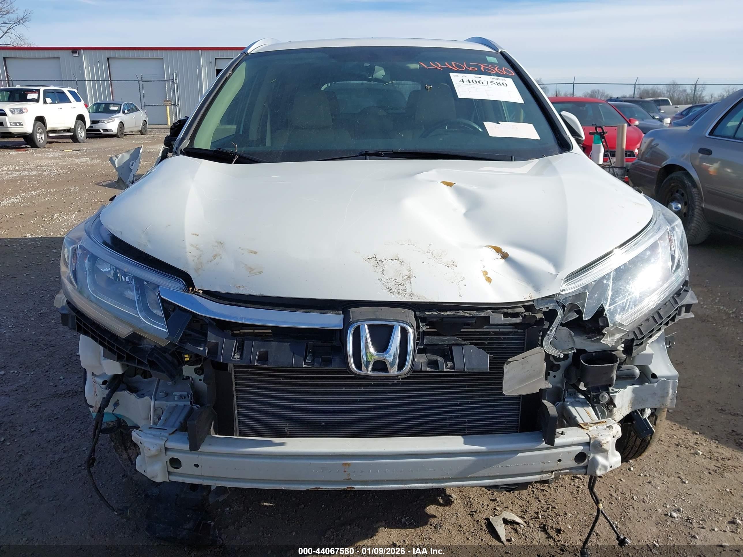 HONDA CR-V image 6