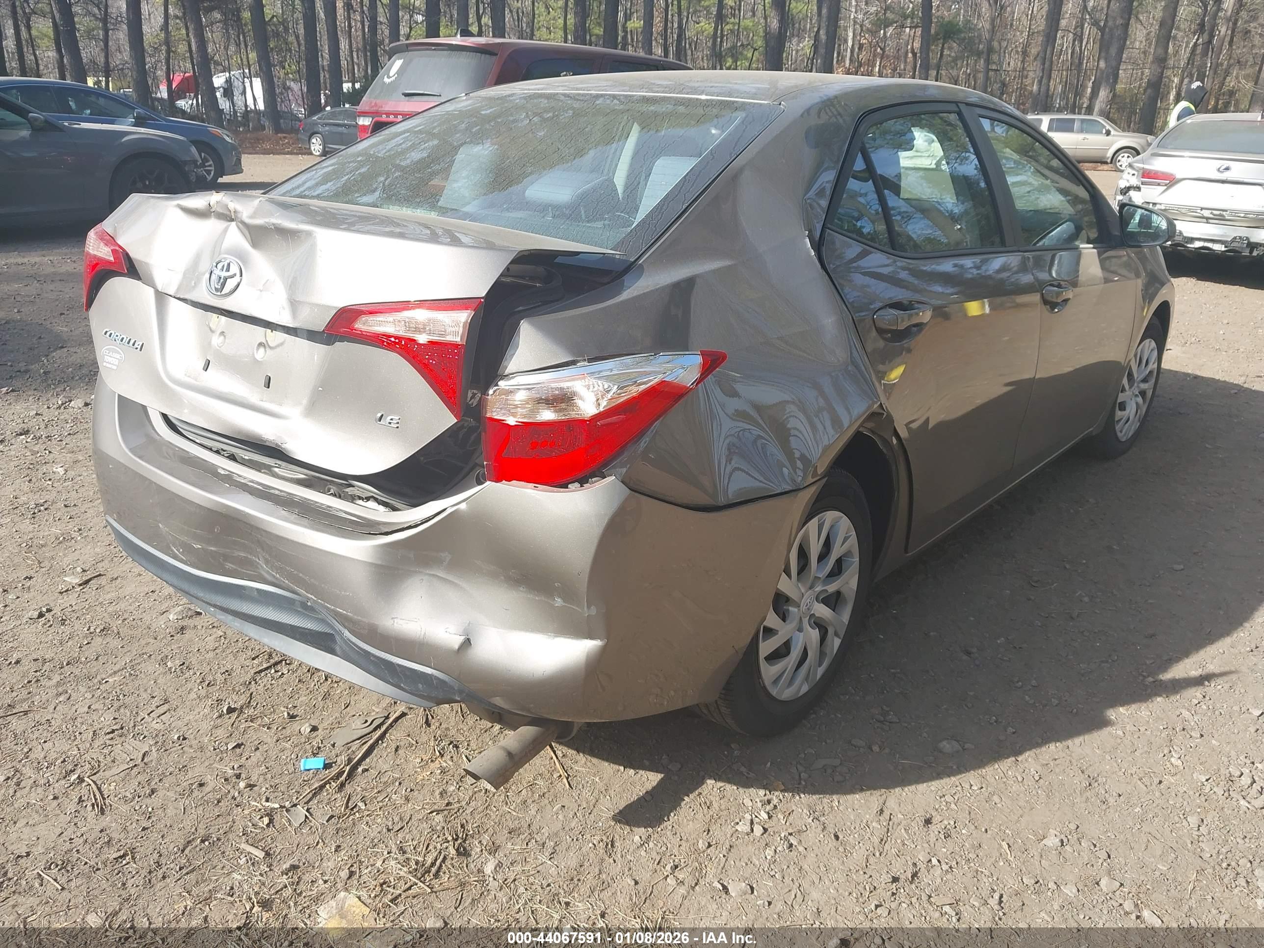 TOYOTA COROLLA image 4