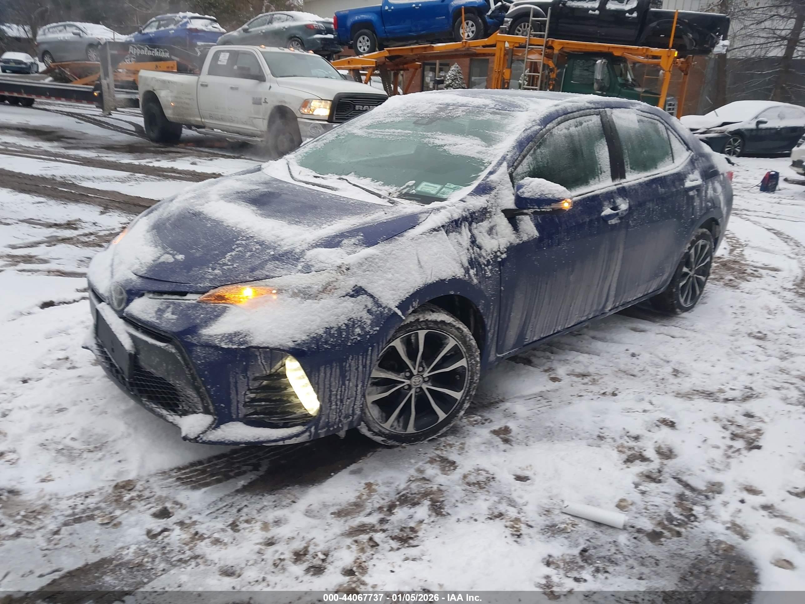 TOYOTA COROLLA image 2