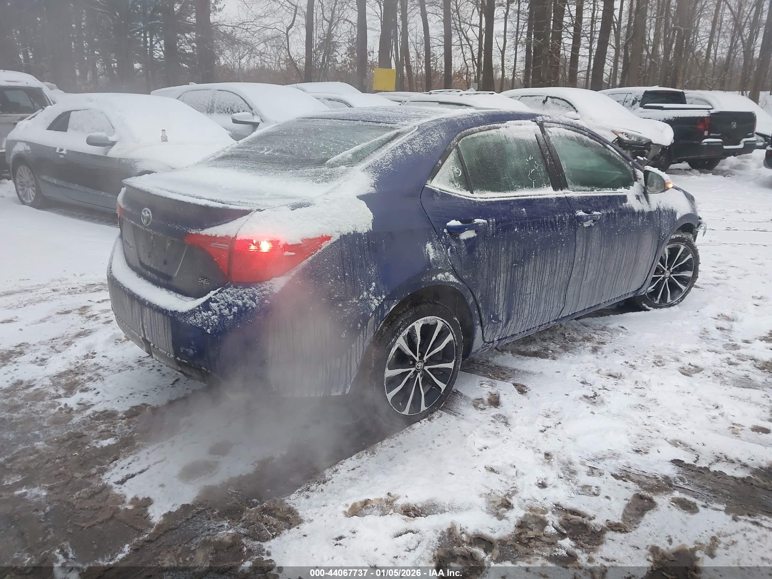 TOYOTA COROLLA image 4