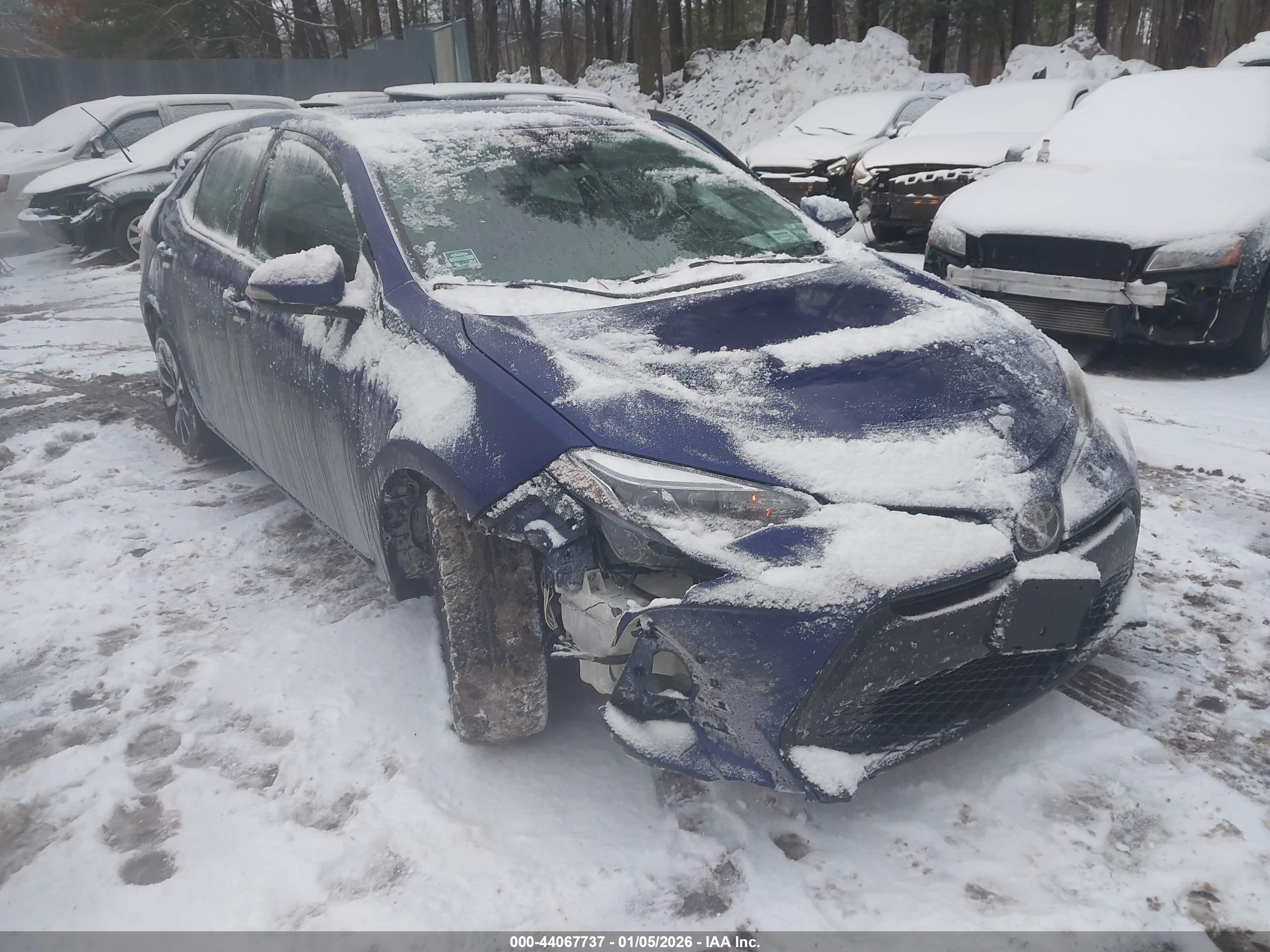 TOYOTA COROLLA image 6