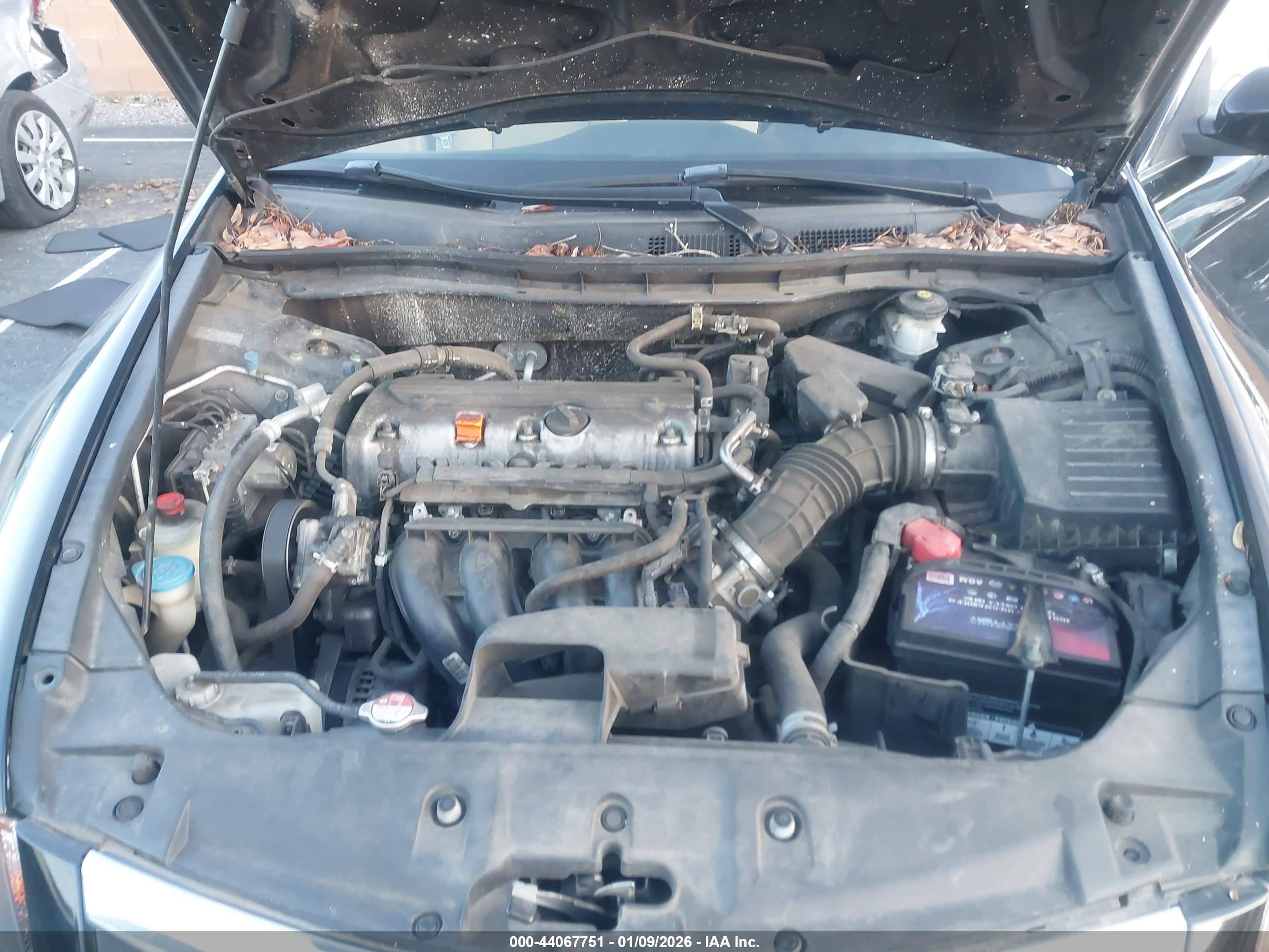 HONDA ACCORD image 10
