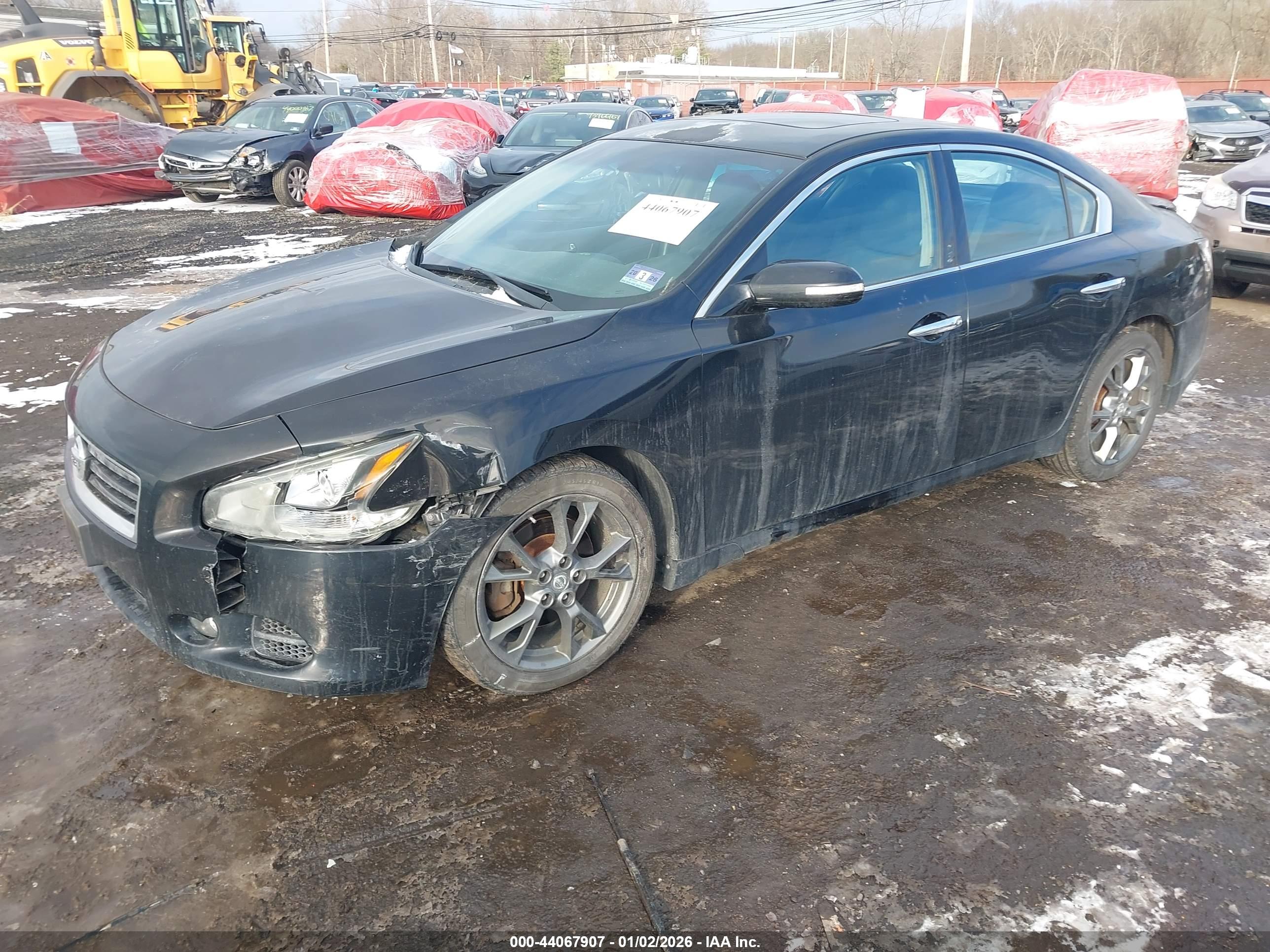 NISSAN MAXIMA image 6