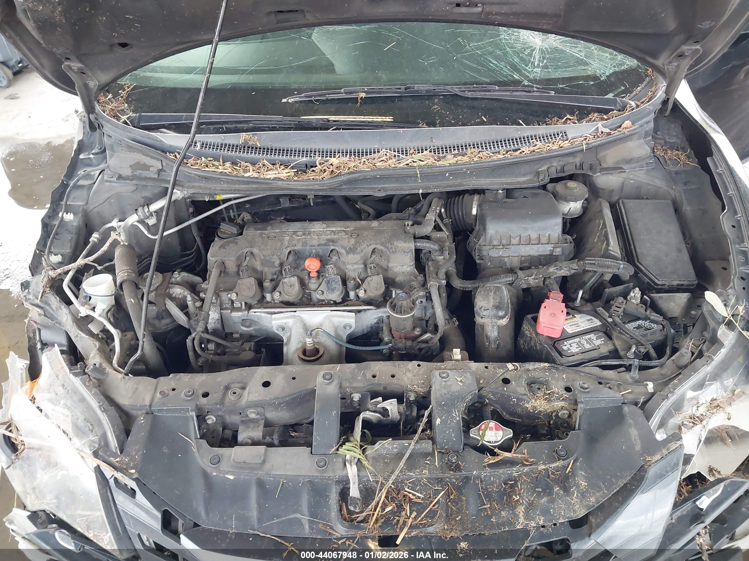 HONDA CIVIC image 10