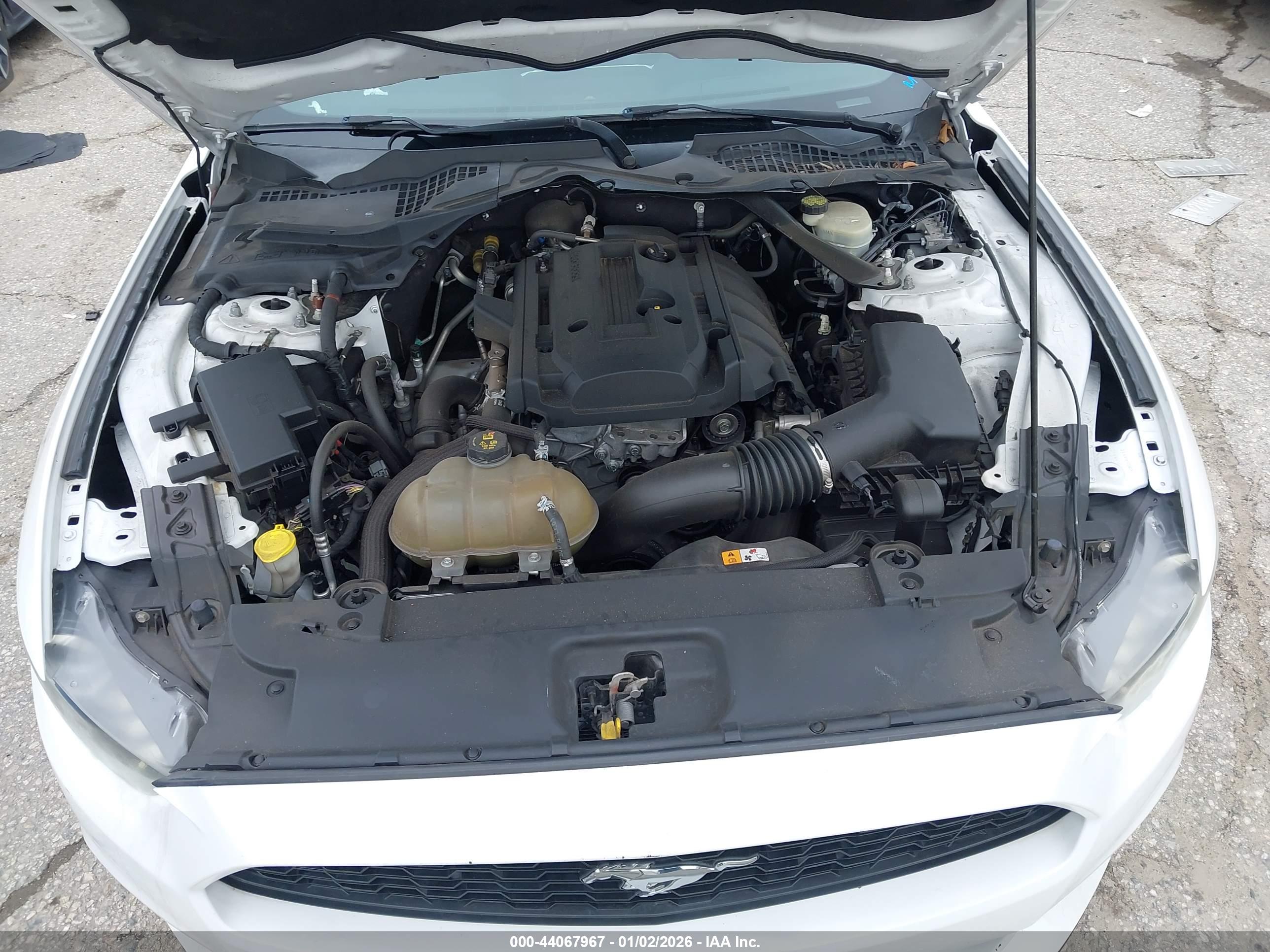 FORD MUSTANG image 10