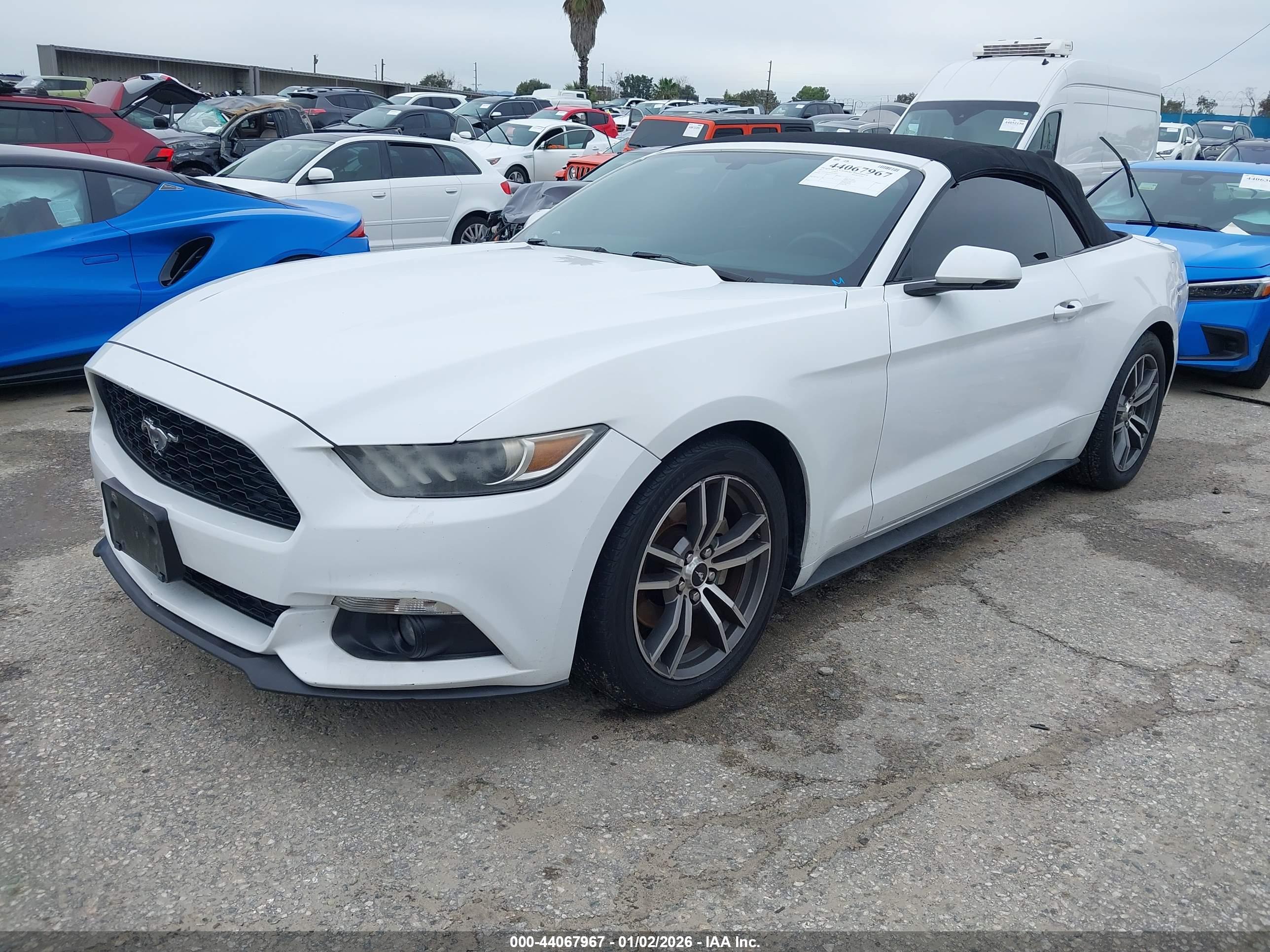 FORD MUSTANG image 2