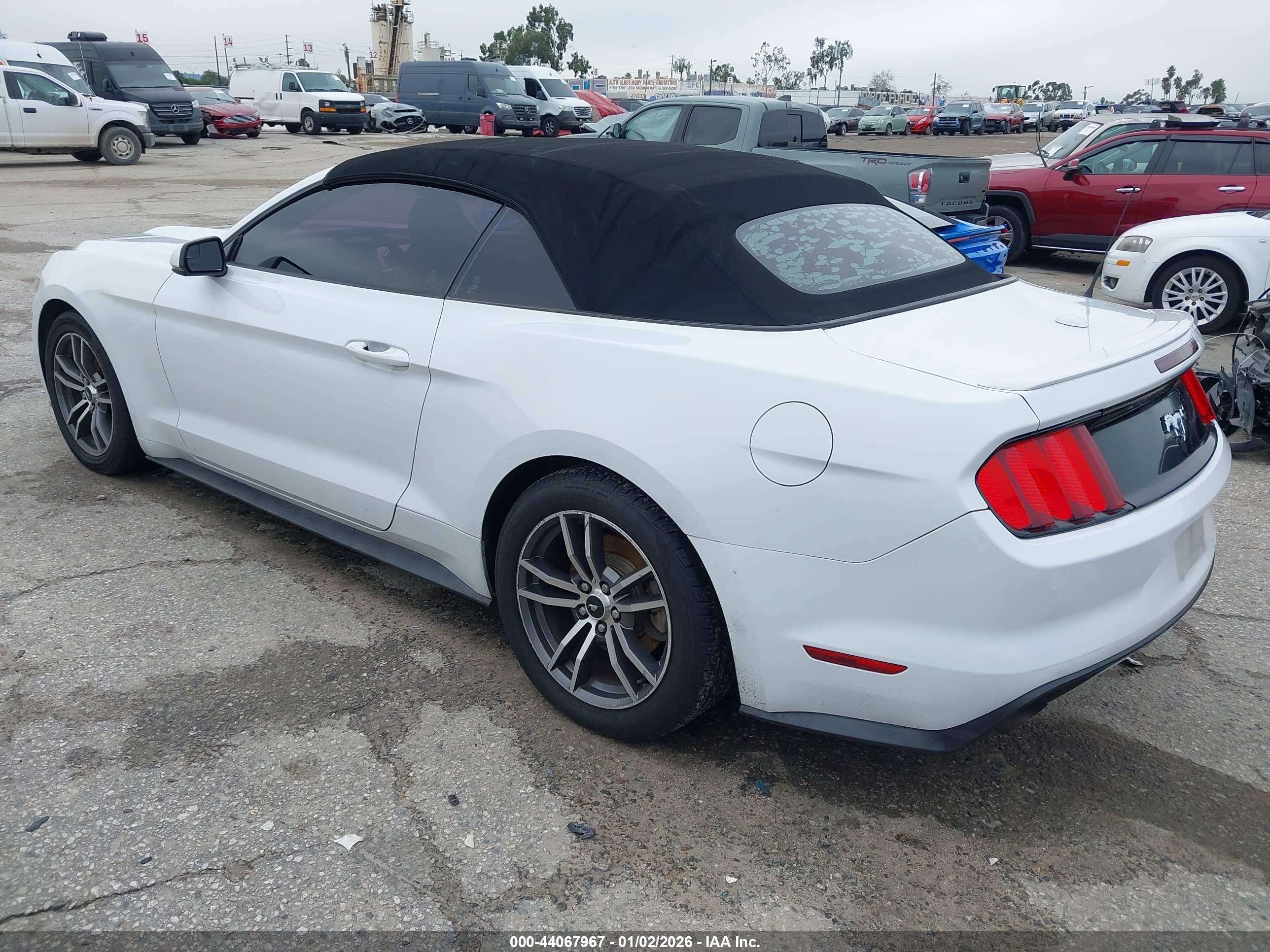 FORD MUSTANG image 3