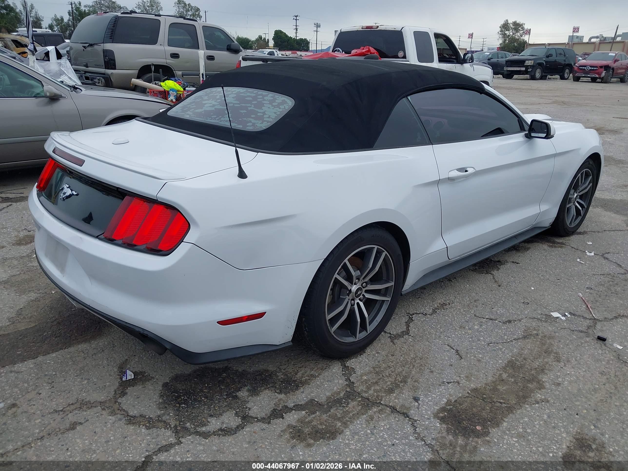 FORD MUSTANG image 4