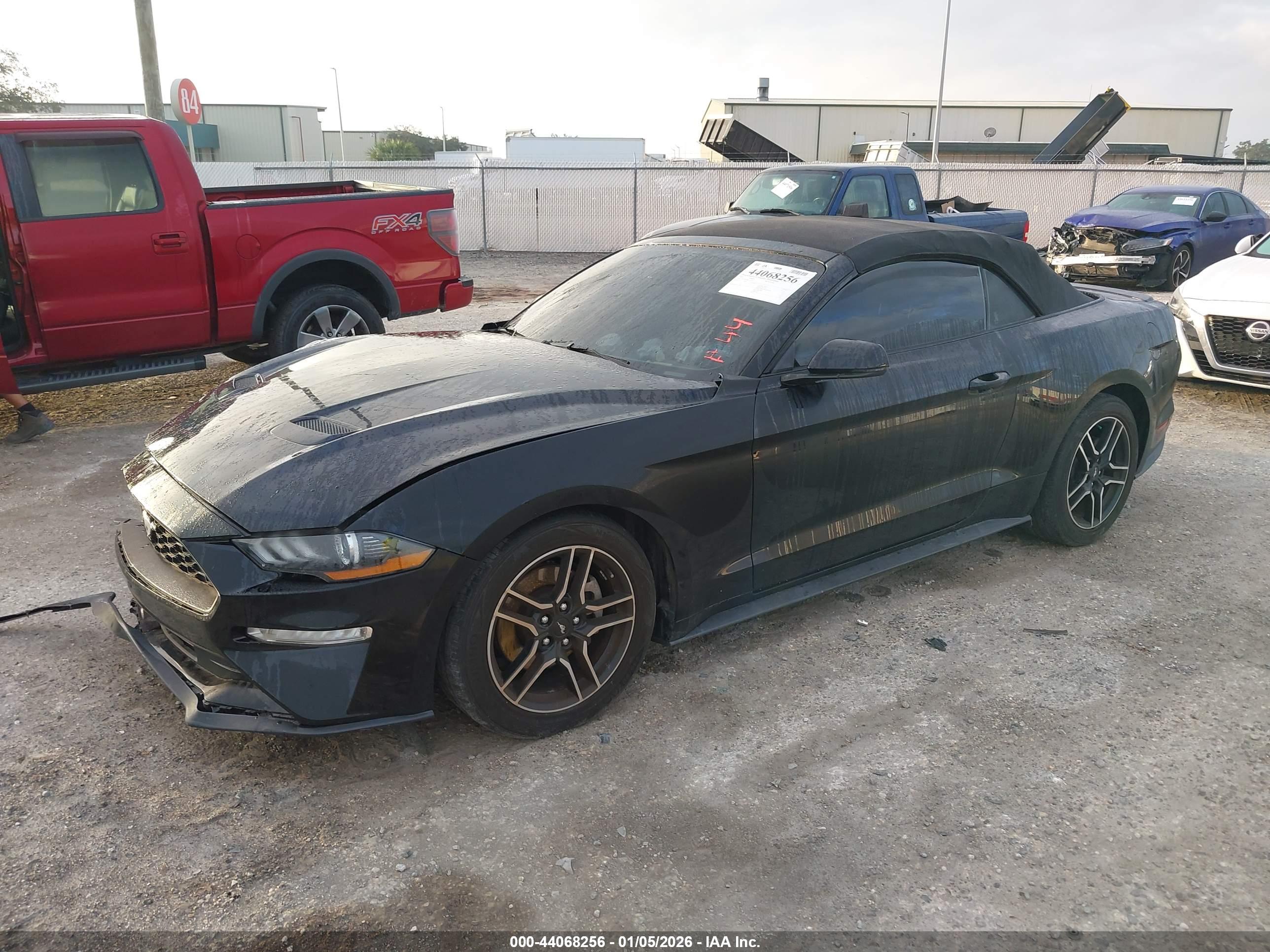 FORD MUSTANG image 2