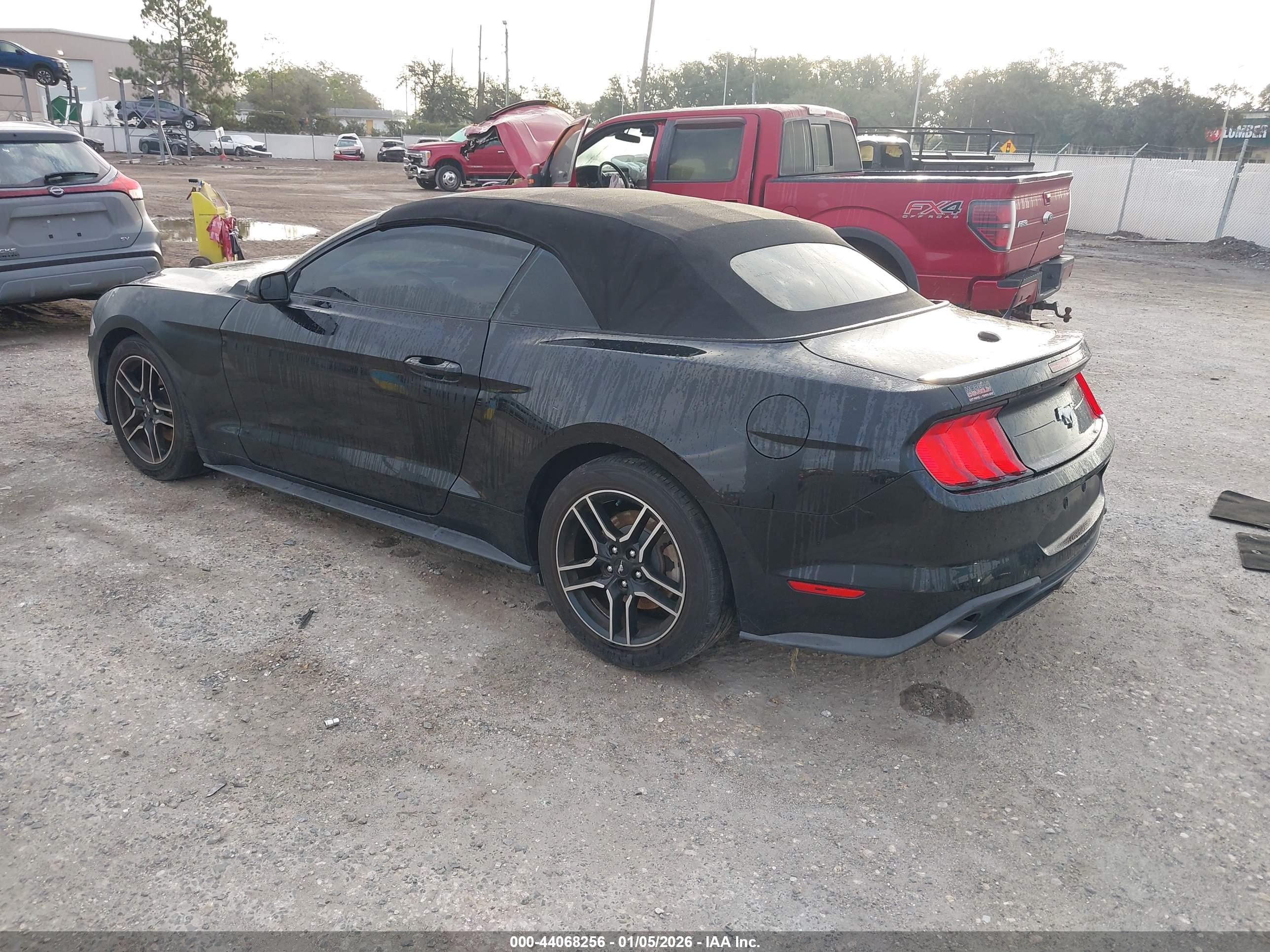 FORD MUSTANG image 3
