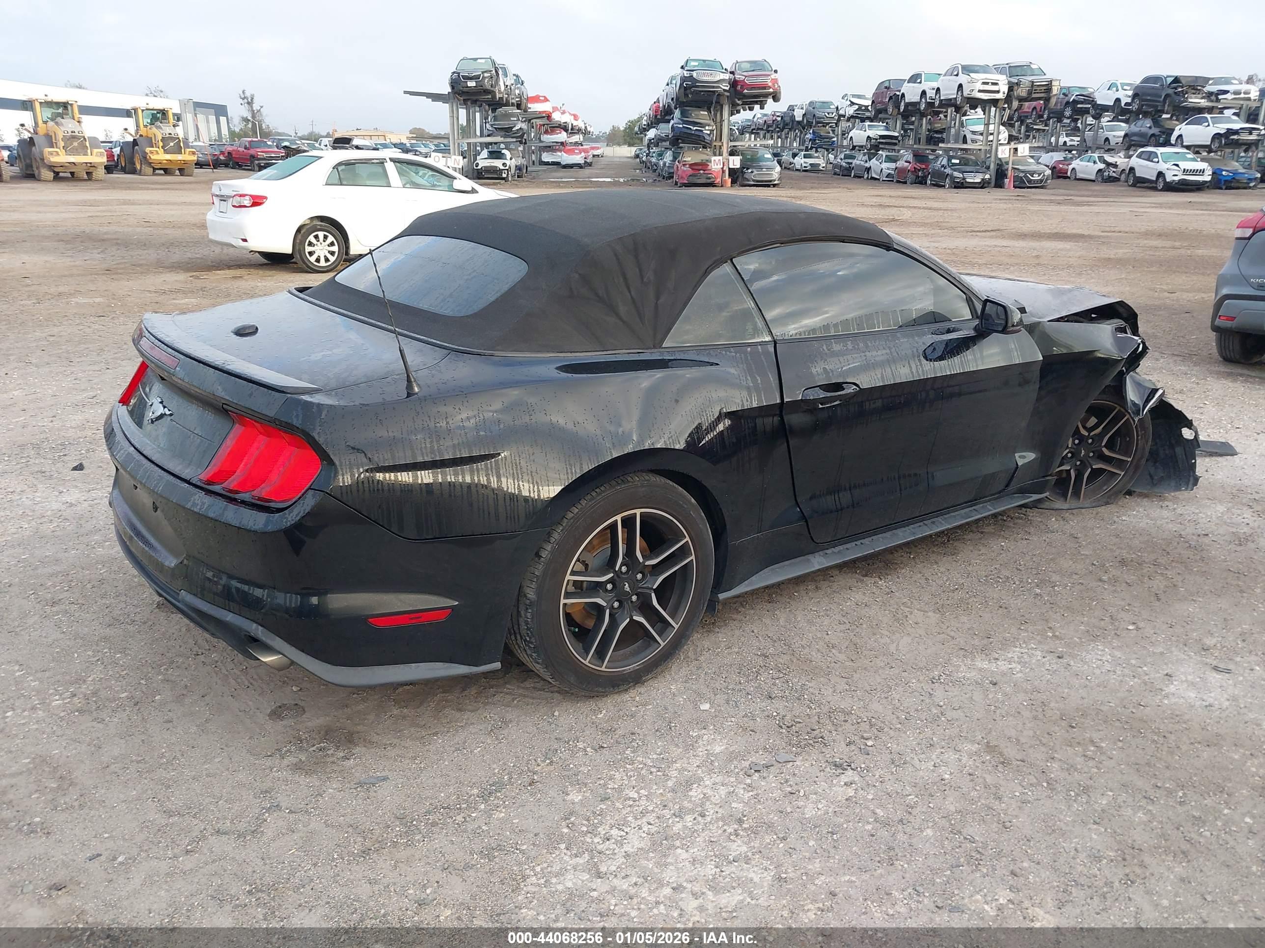 FORD MUSTANG image 4
