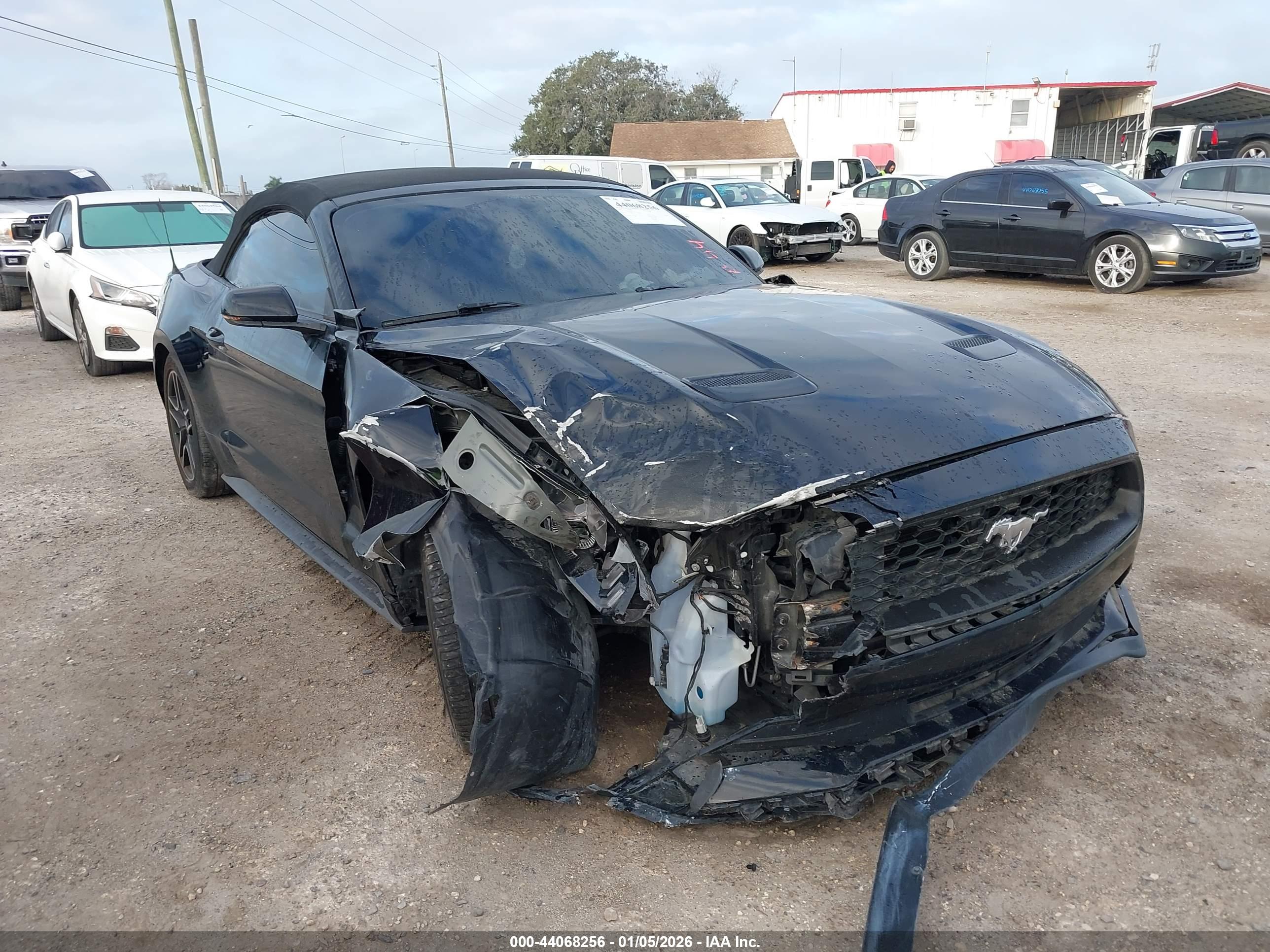 FORD MUSTANG image 6