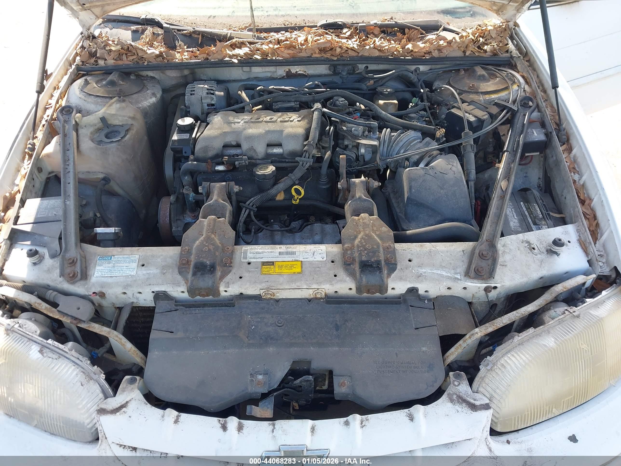 CHEVROLET LUMINA image 10