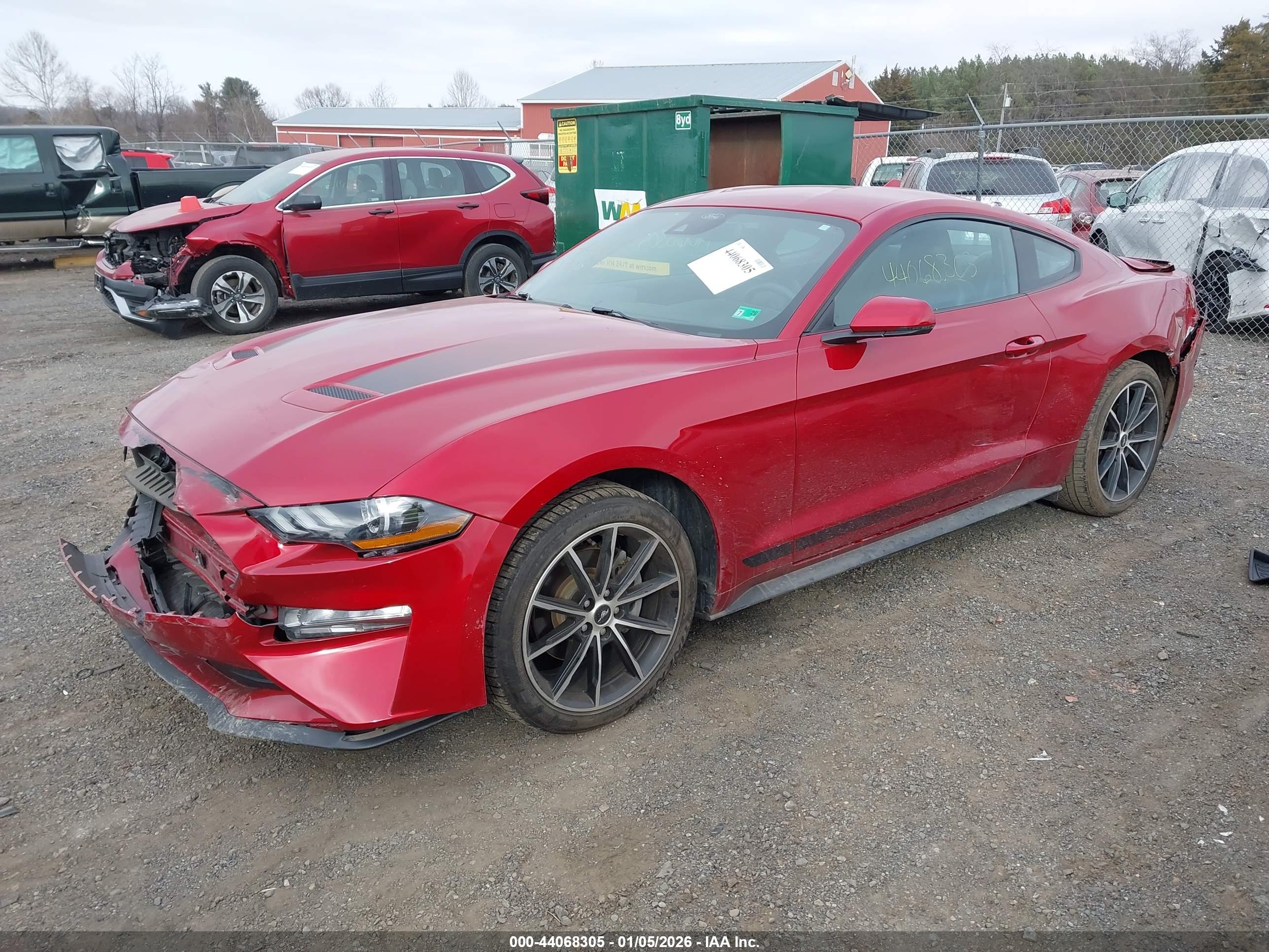 FORD MUSTANG image 2