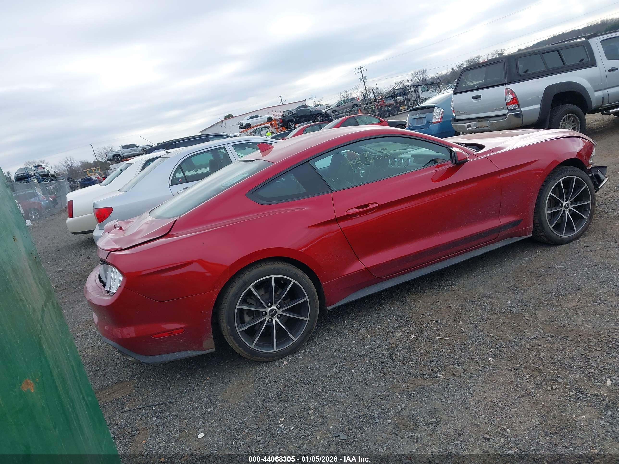 FORD MUSTANG image 4