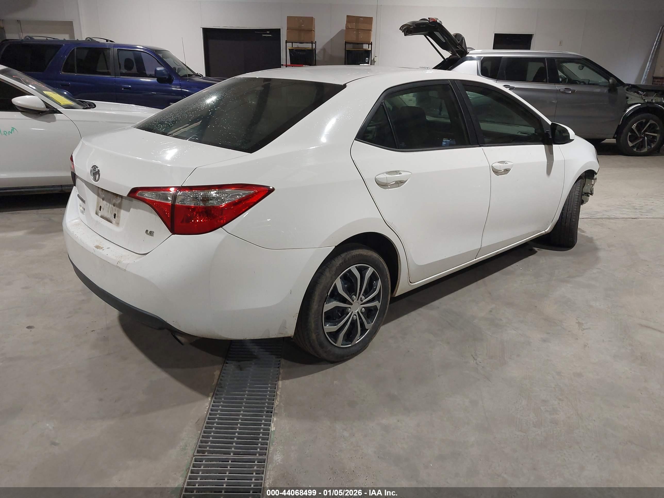 TOYOTA COROLLA image 4