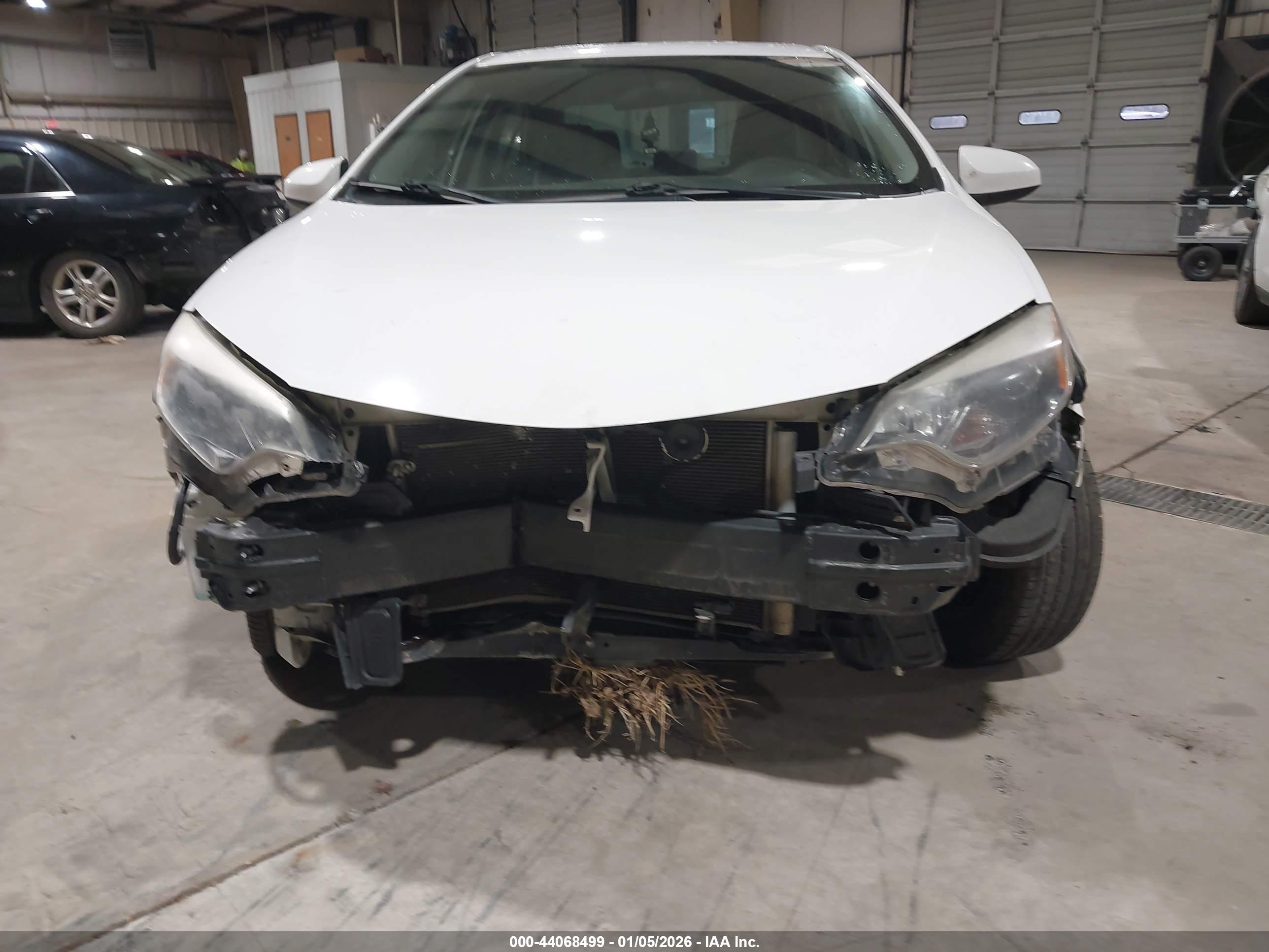 TOYOTA COROLLA image 6