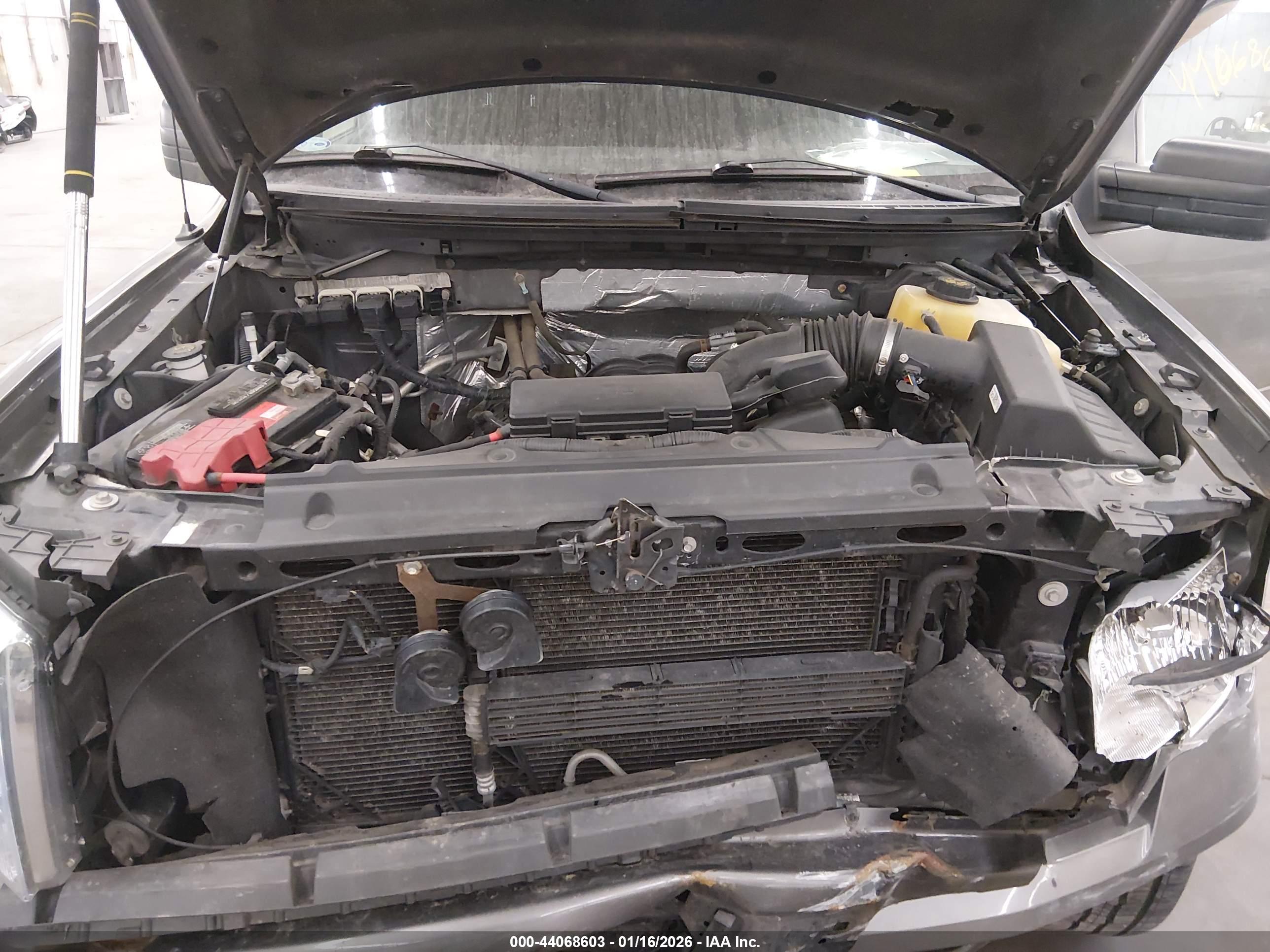 FORD F-150 image 10