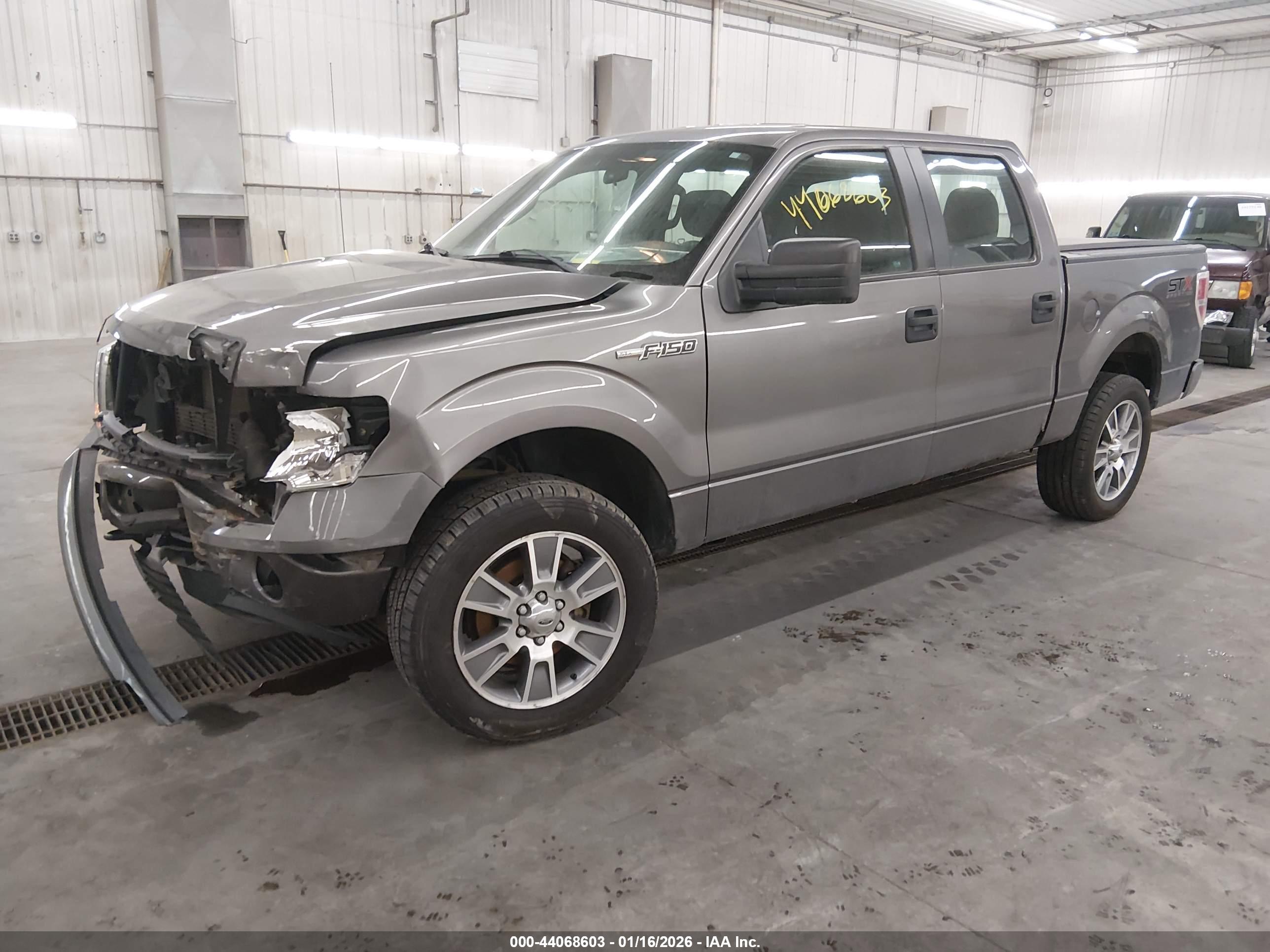 FORD F-150 image 2
