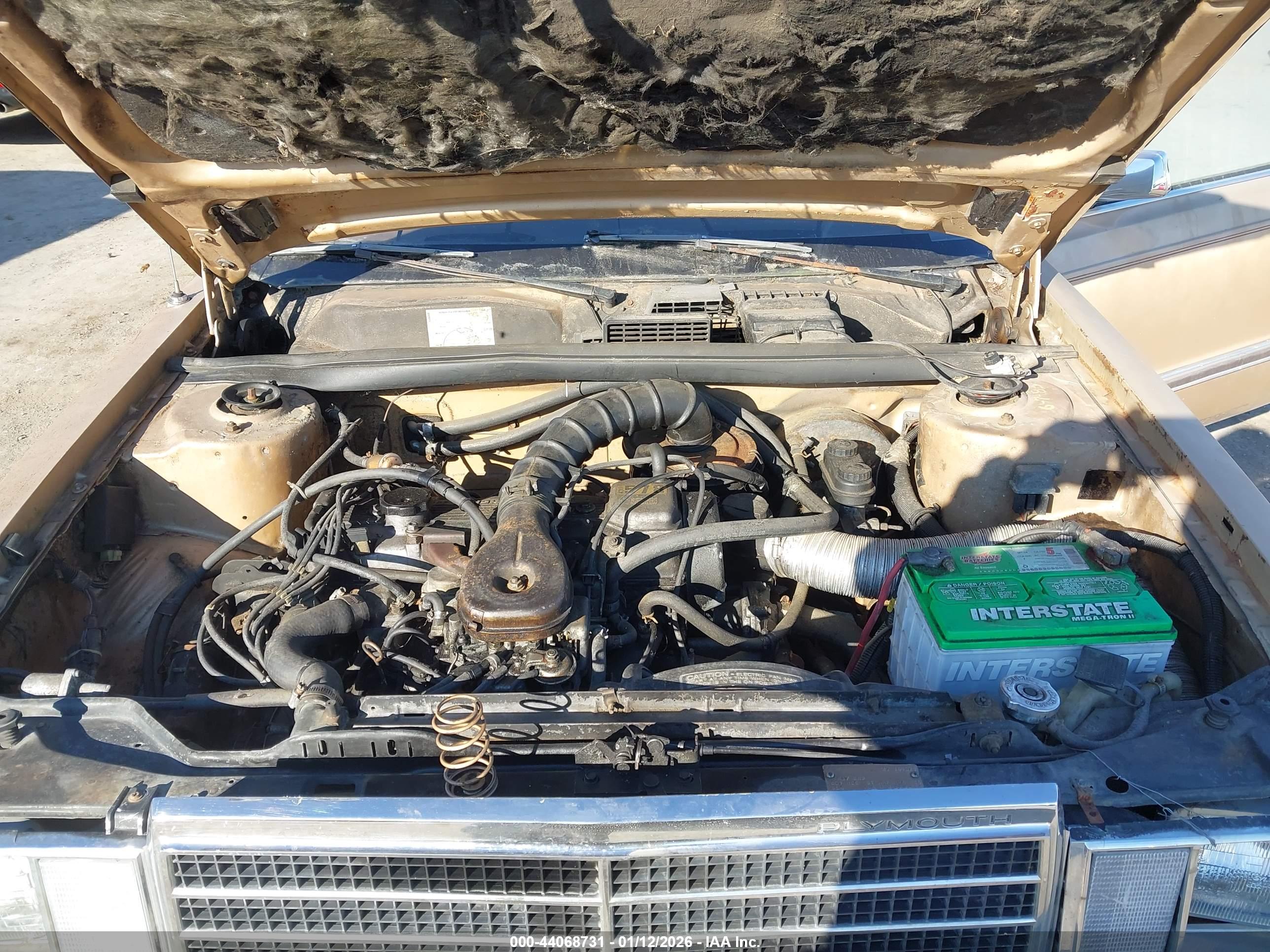 PLYMOUTH RELIANT image 10