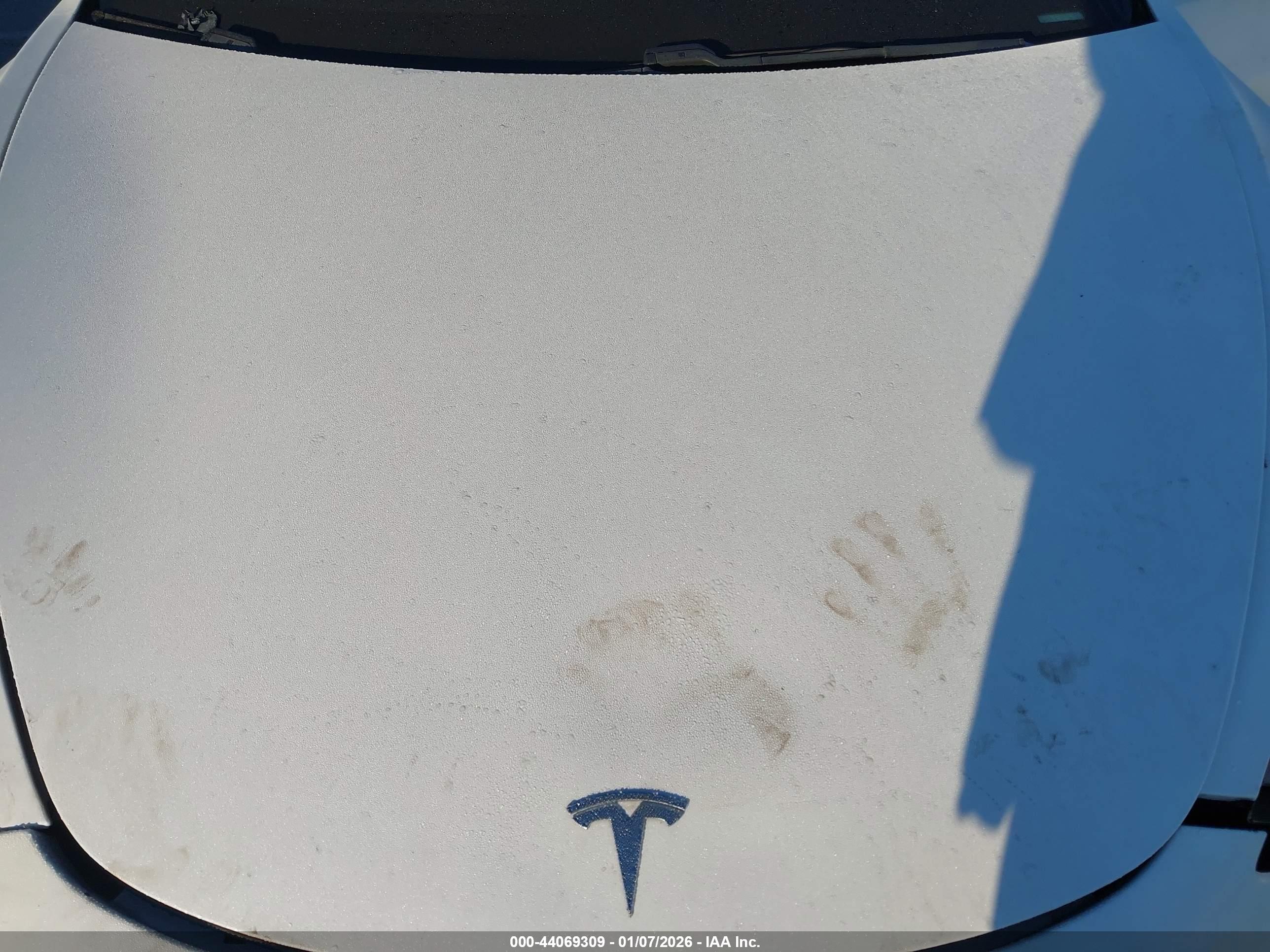TESLA MODEL image 10