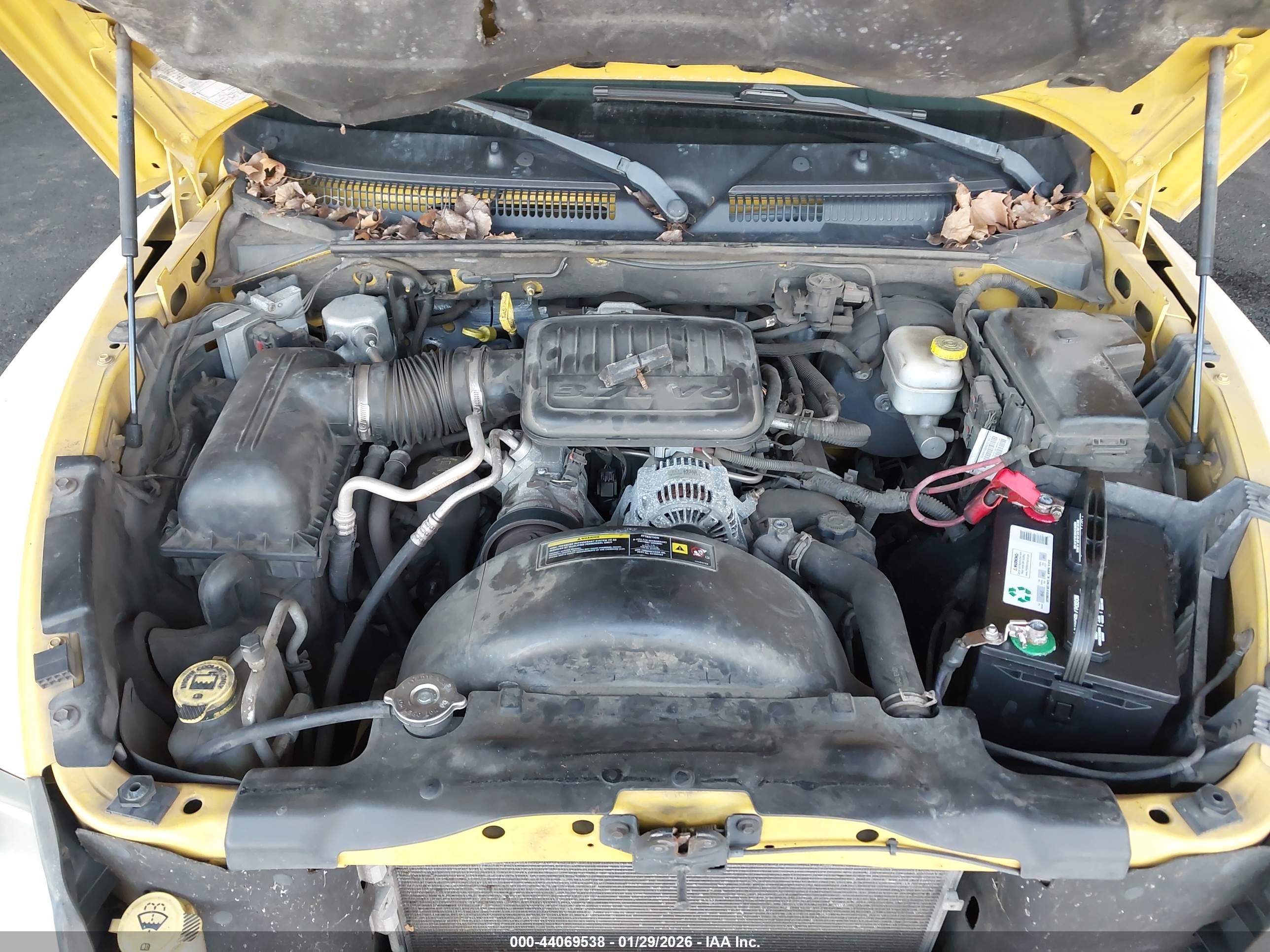 DODGE DAKOTA image 10