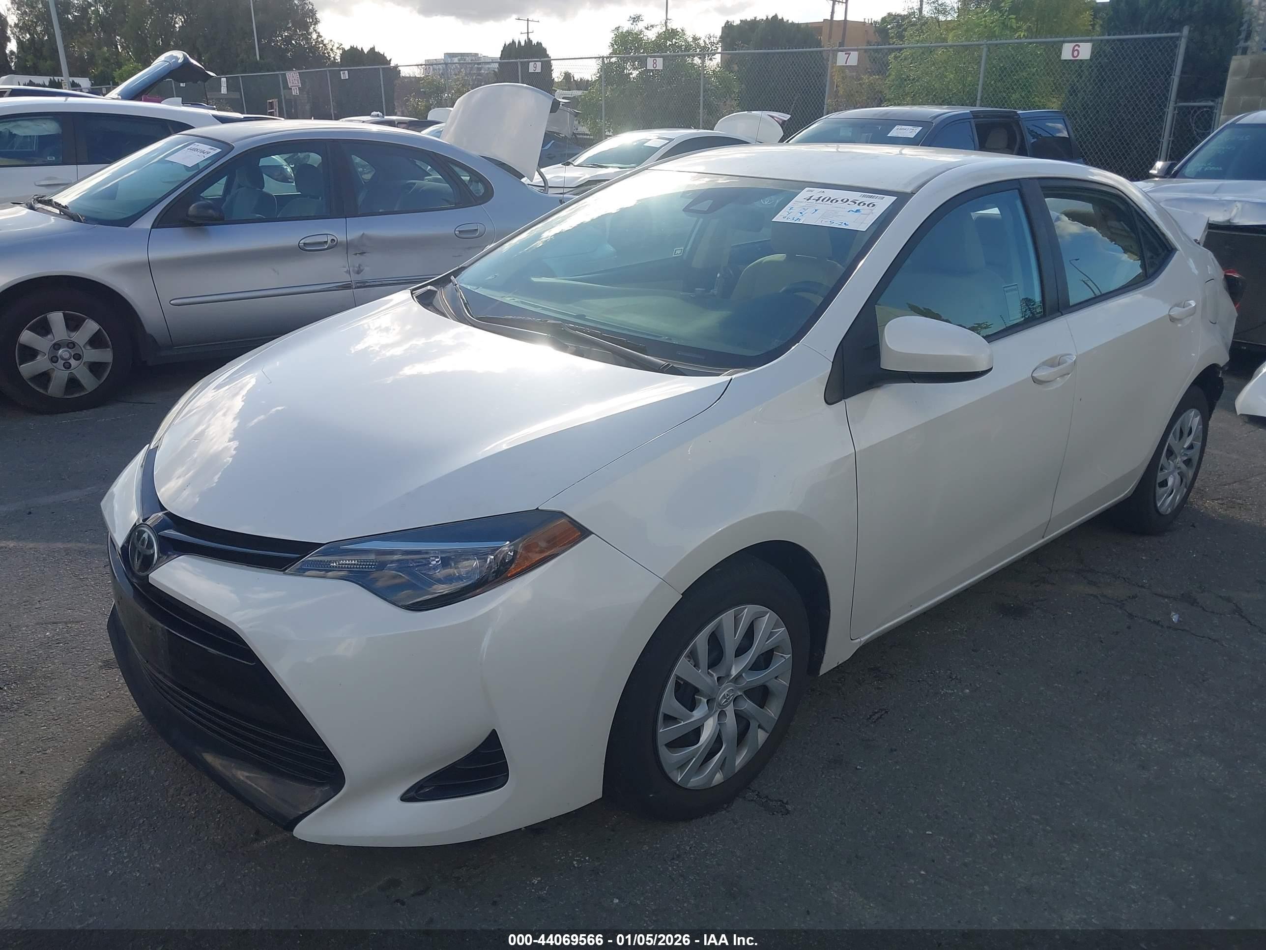 TOYOTA COROLLA image 2