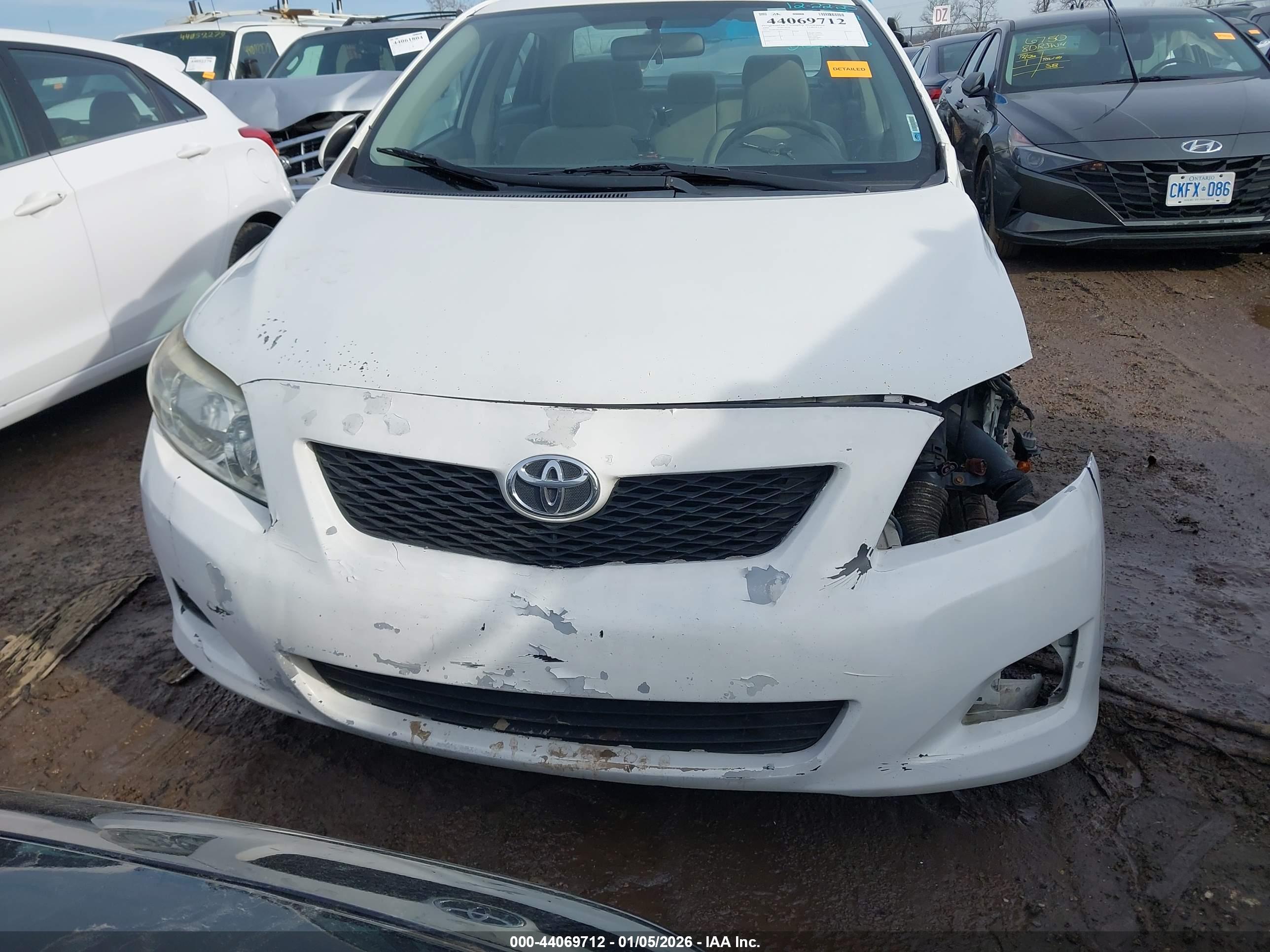 TOYOTA COROLLA image 6