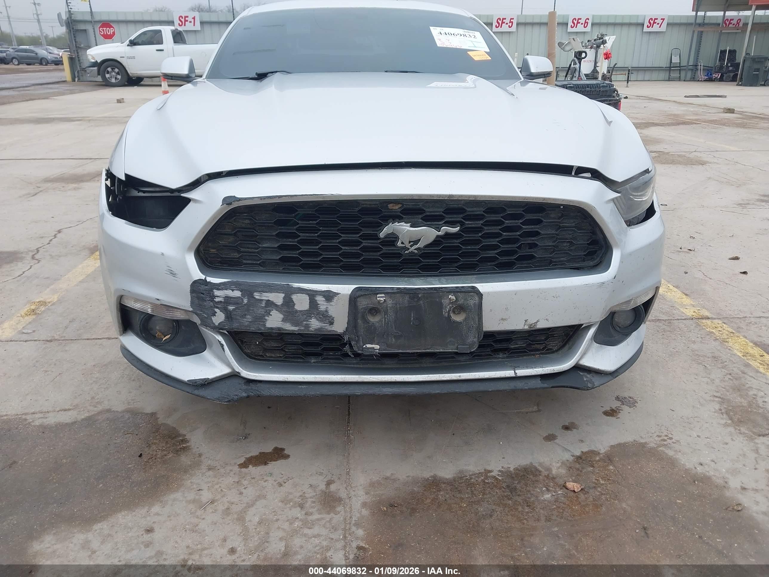 FORD MUSTANG image 6