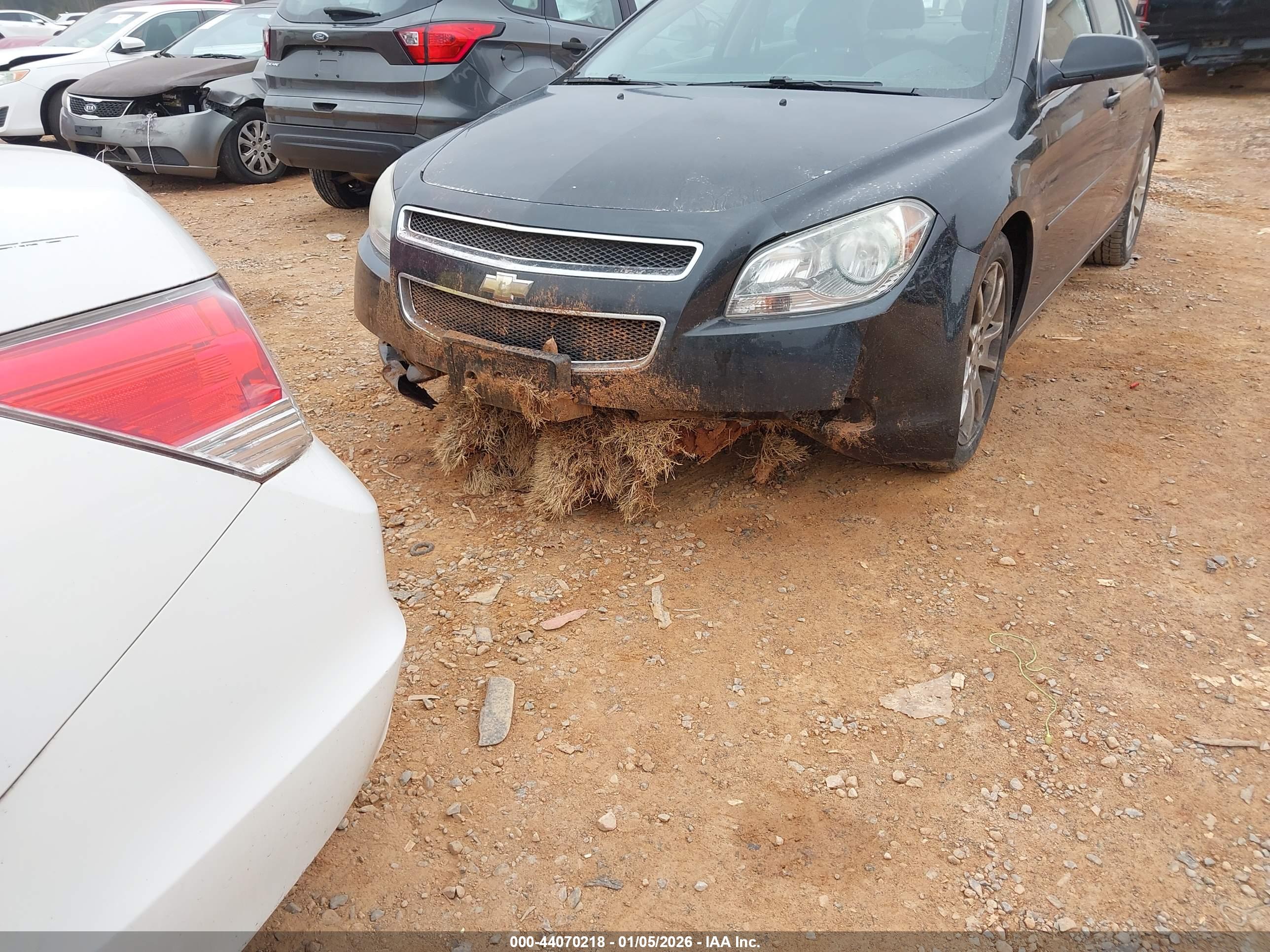 CHEVROLET MALIBU image 6