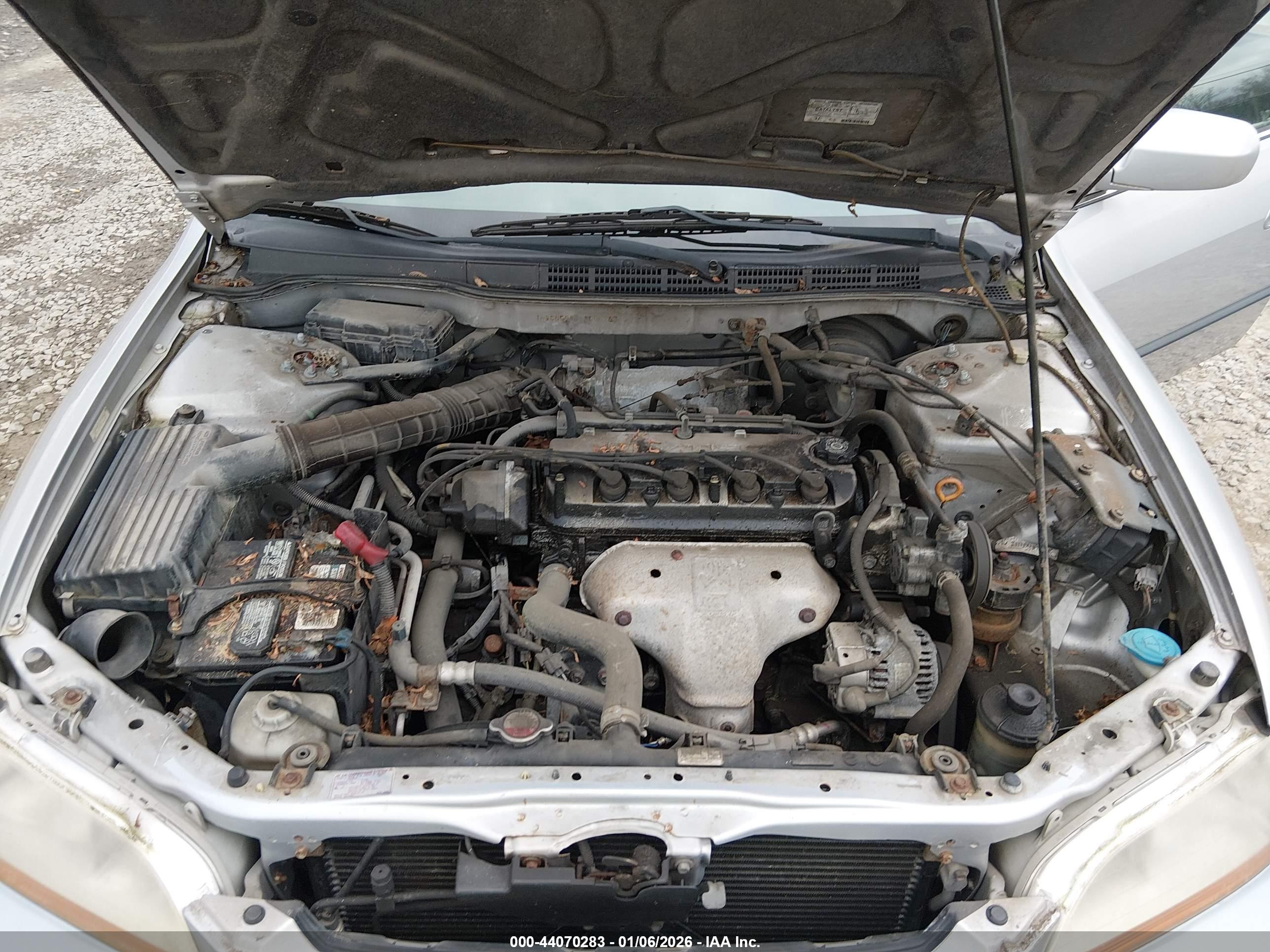 HONDA ACCORD image 10
