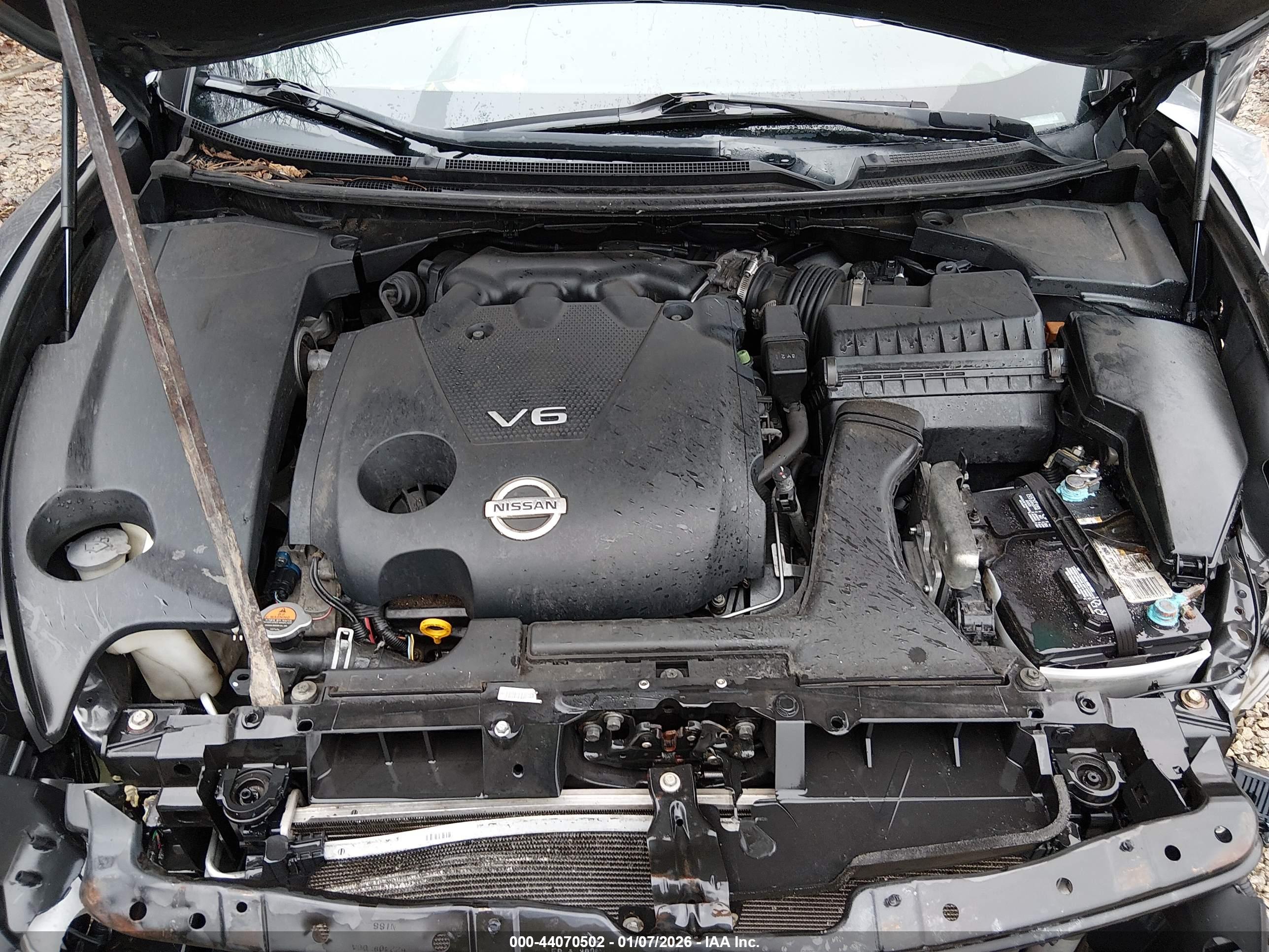 NISSAN MAXIMA image 10