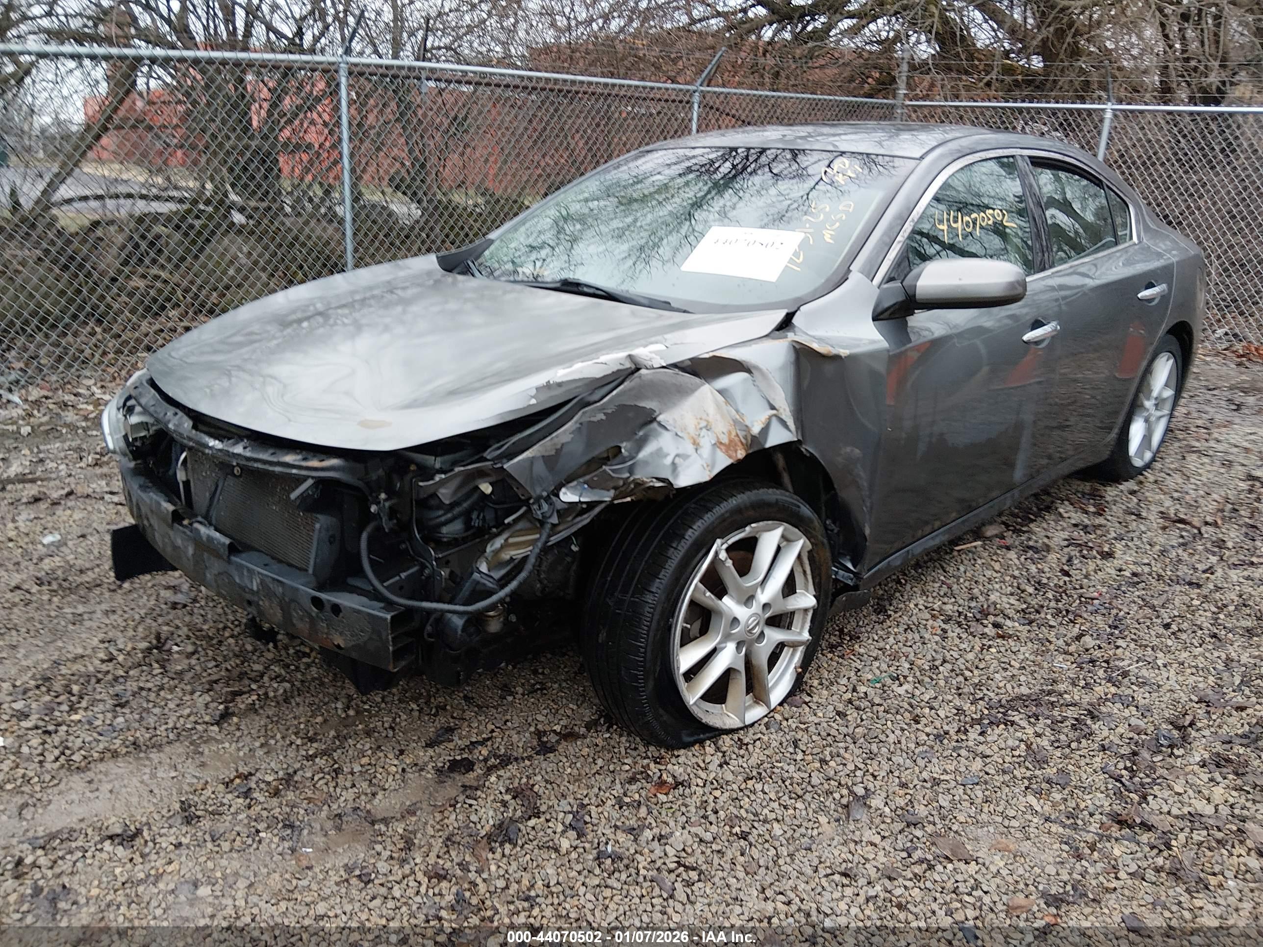 NISSAN MAXIMA image 2