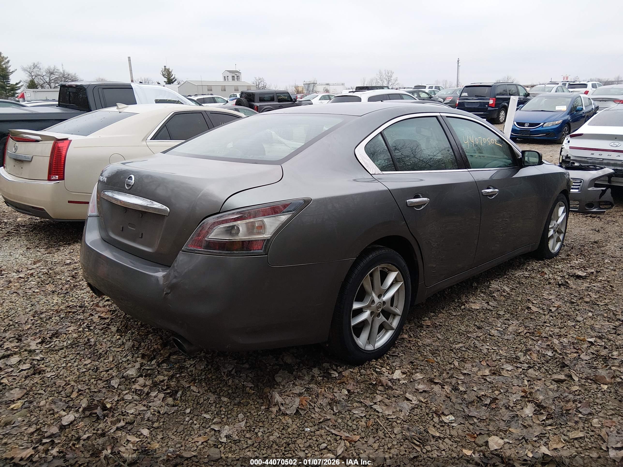 NISSAN MAXIMA image 4