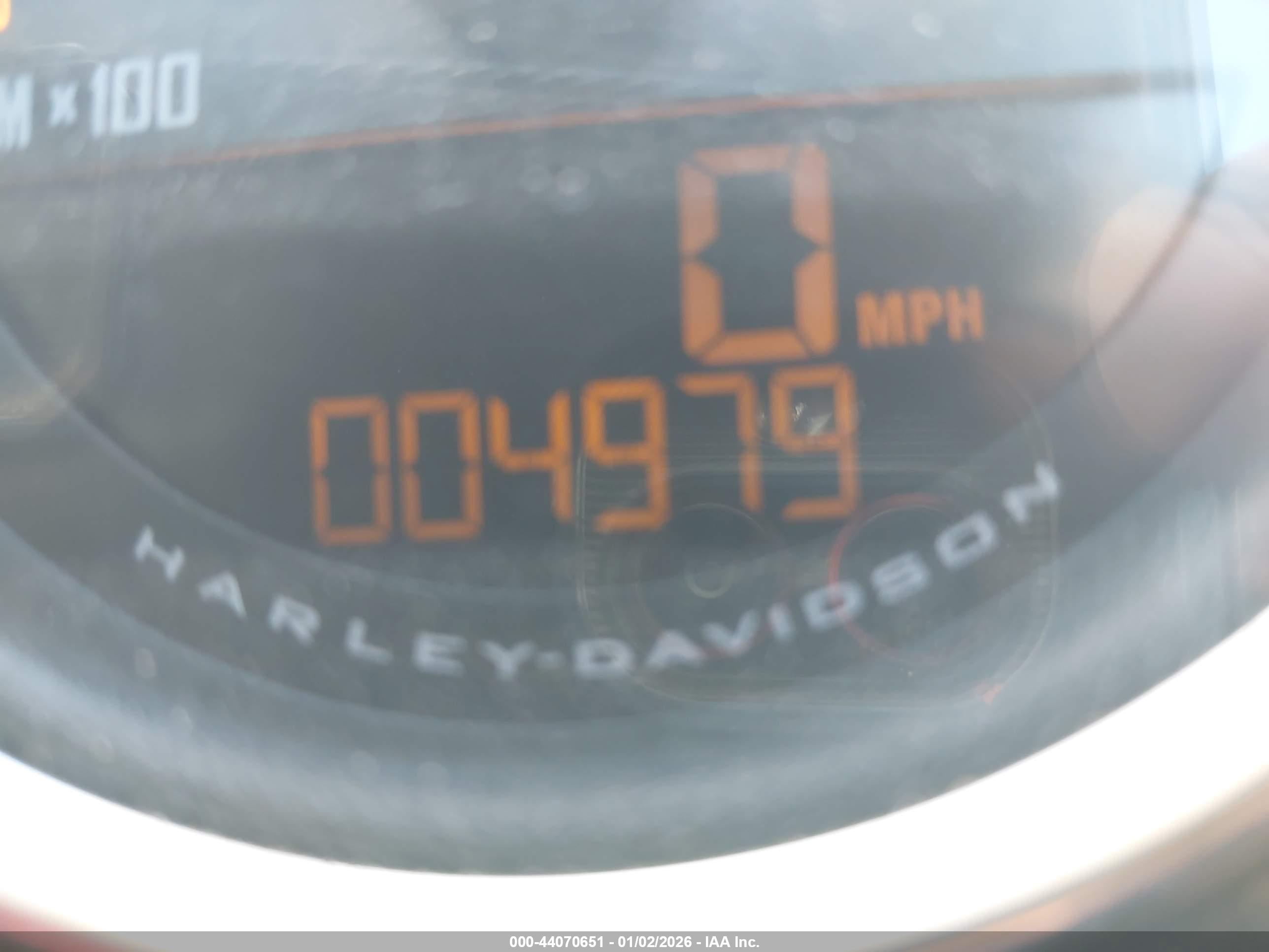 HARLEY-DAVIDSON XL1200 image 7