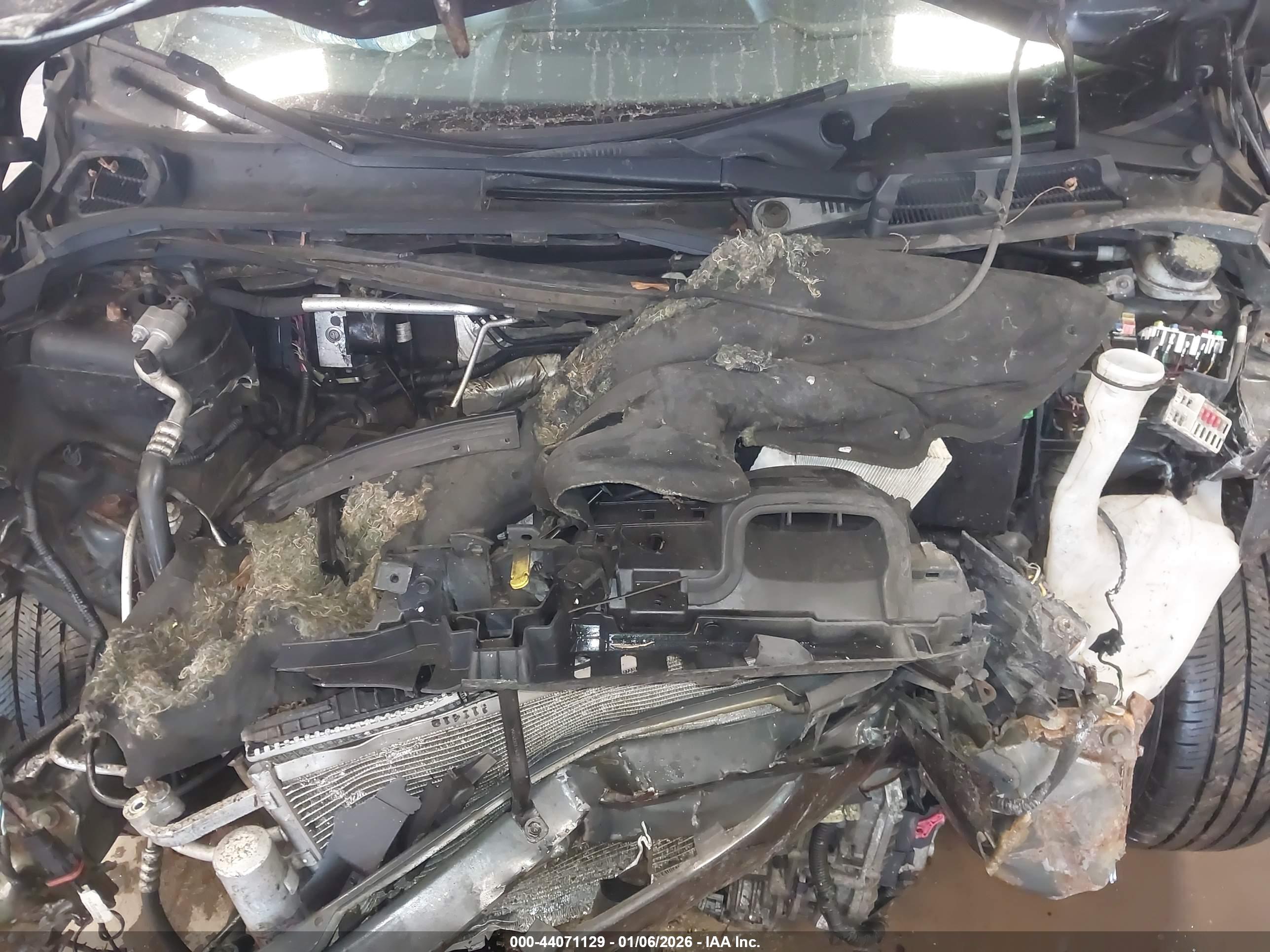 FORD FIESTA image 10