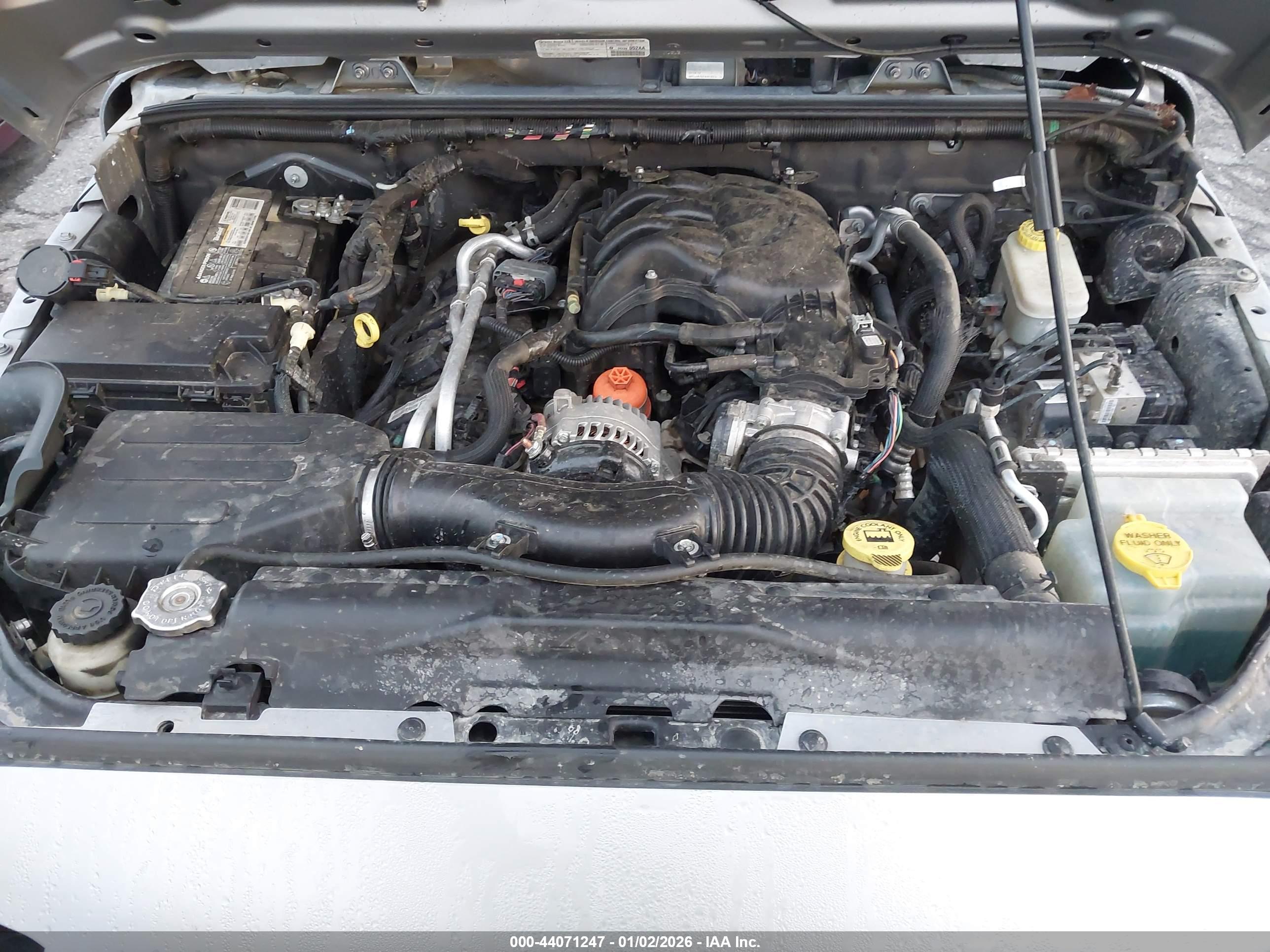 JEEP WRANGLER image 10