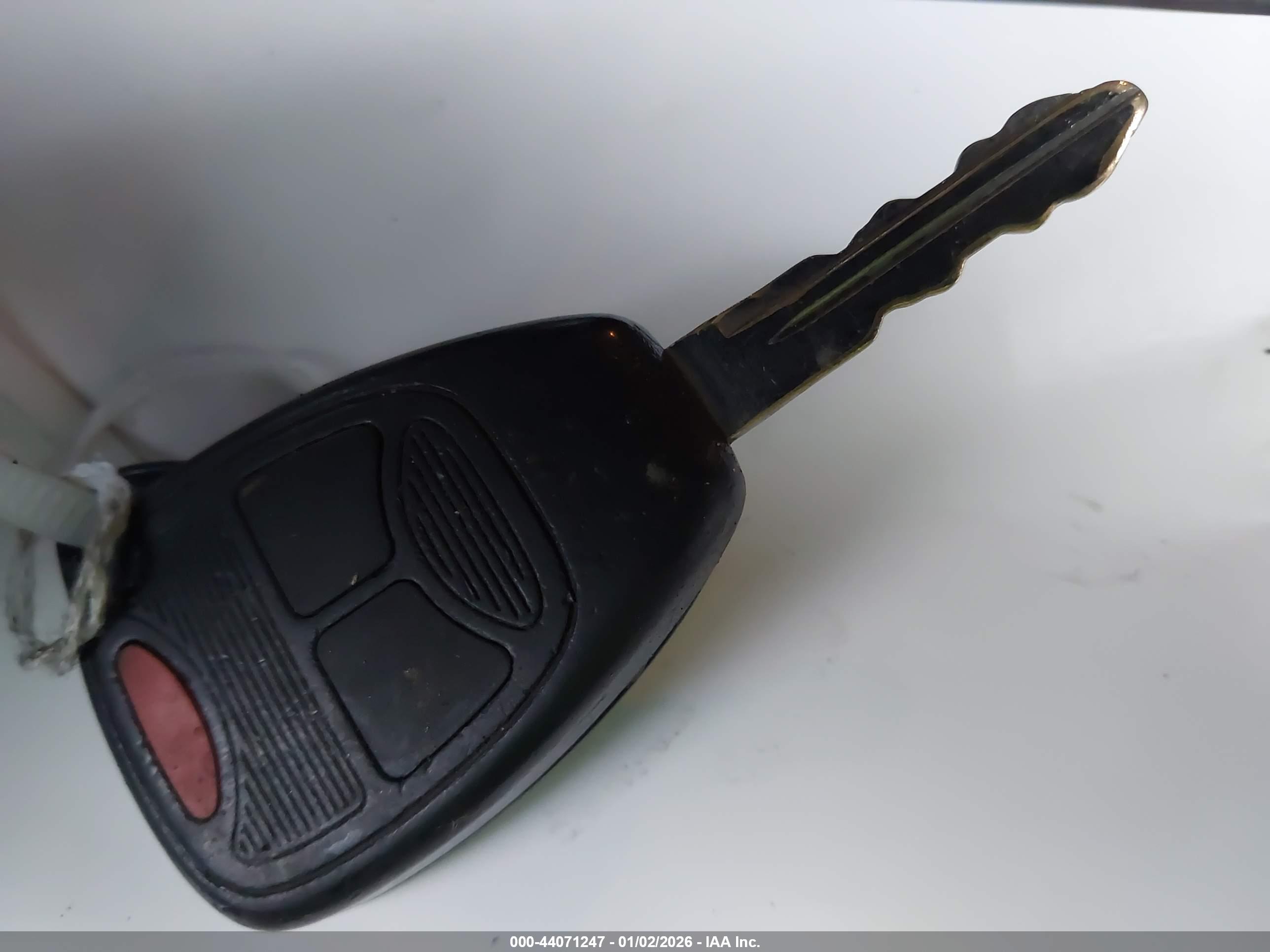 JEEP WRANGLER image 11
